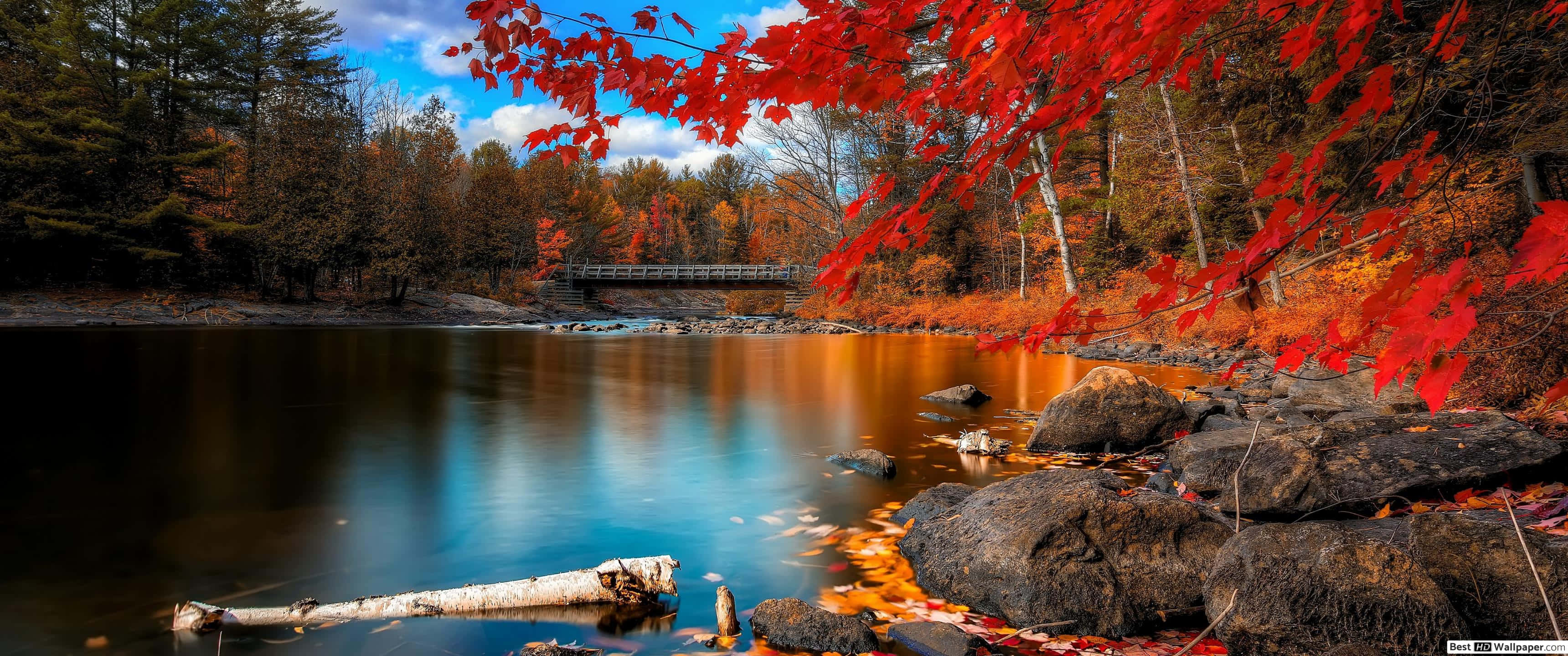 3440x1440 Download Welcome Autumn with a vibrant 3440x1440 Fall Wallpaper