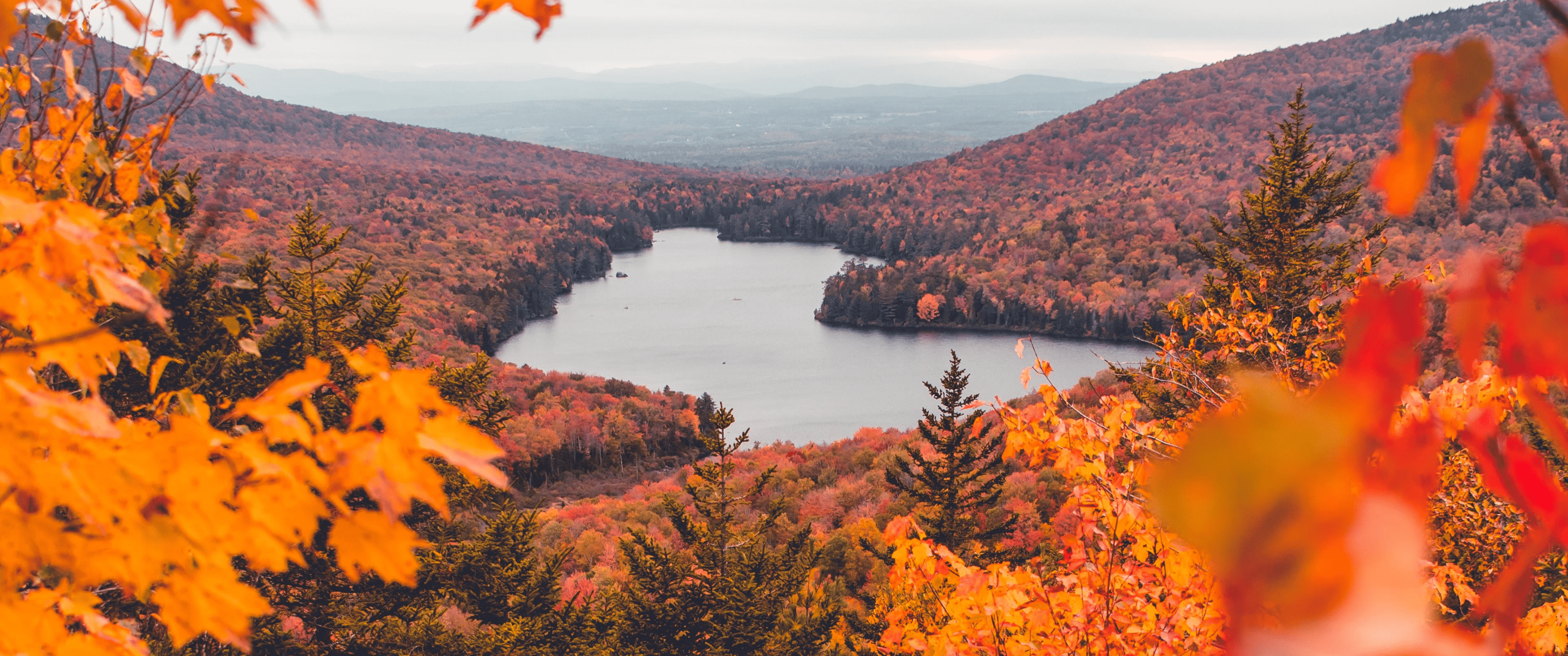 3440x1440 Autumn x 1440