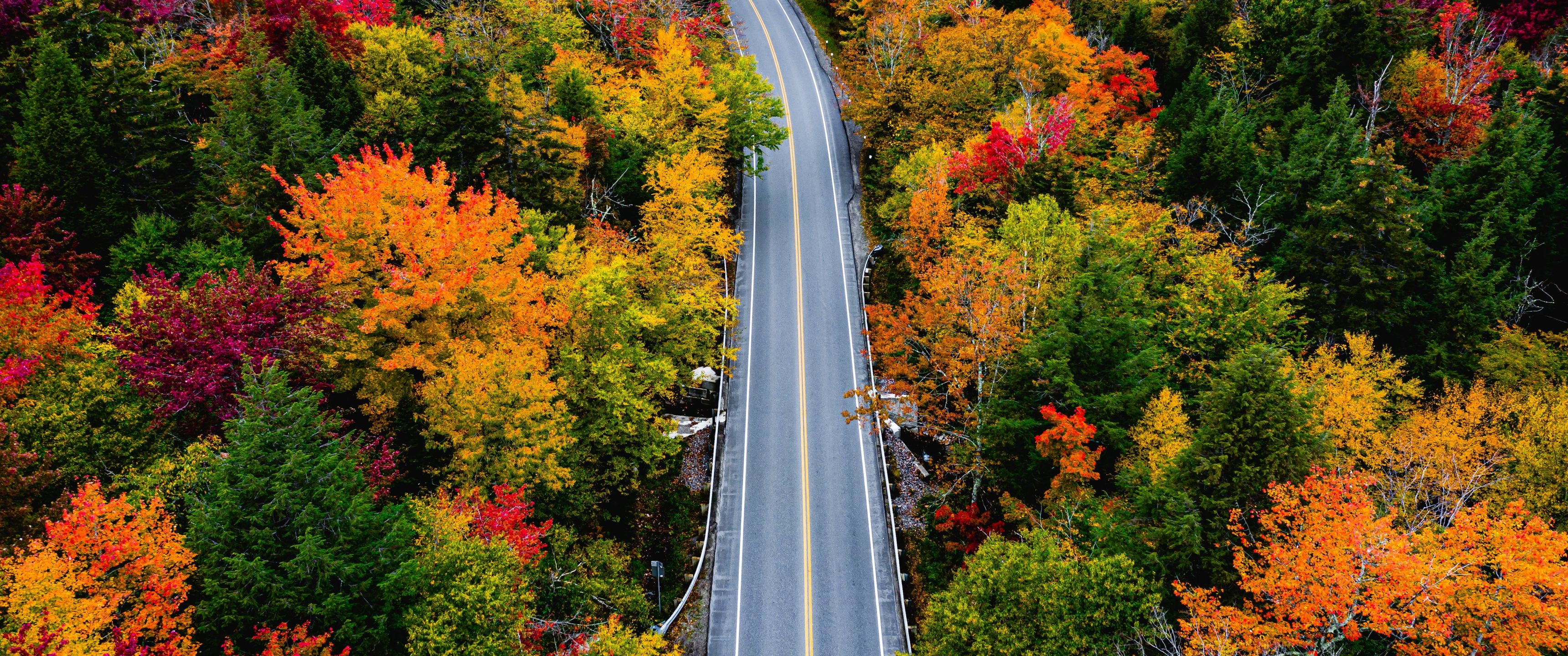 3440x1440 Autumn Wallpaper 4K, Landscape, Road, Maple trees