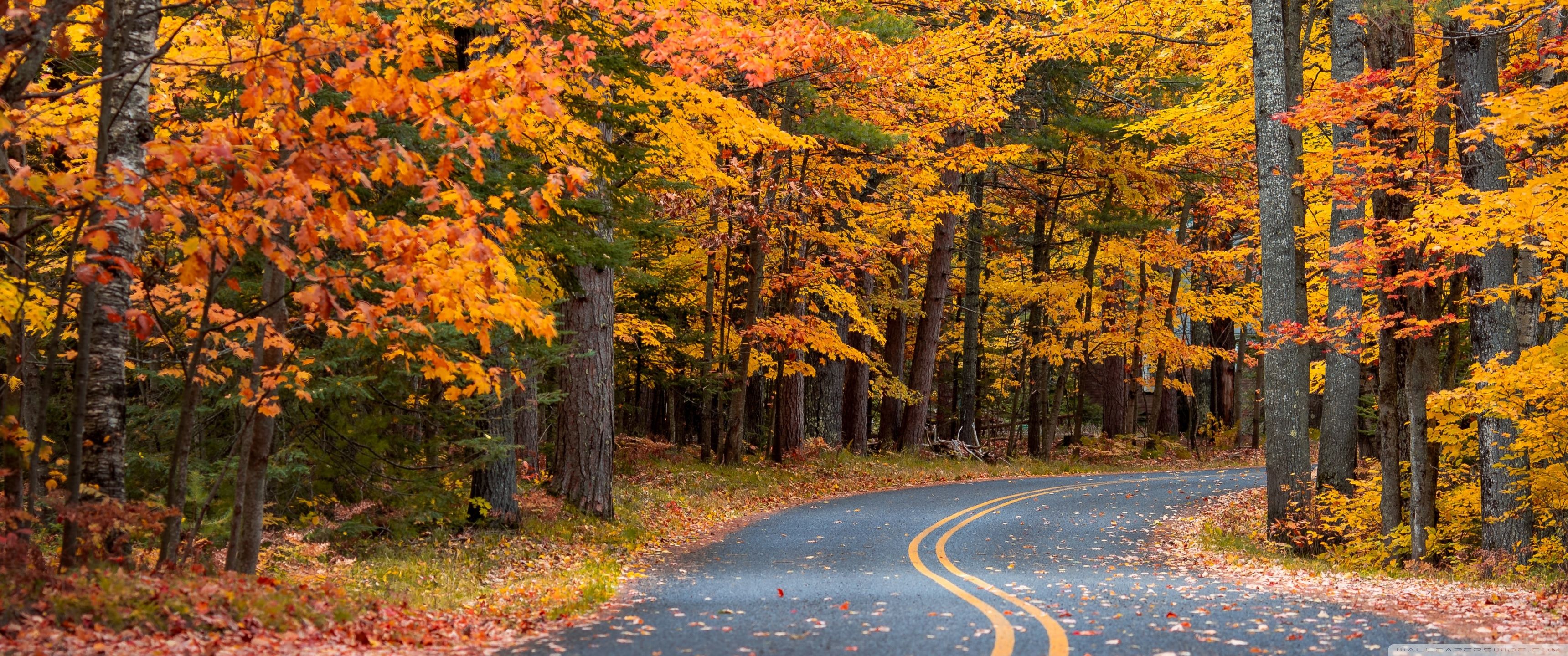 3440x1440 Fall Vacation 4K UHD Wallpaper for UltraHD Desktop and TV : Widescreen and UltraWide Display