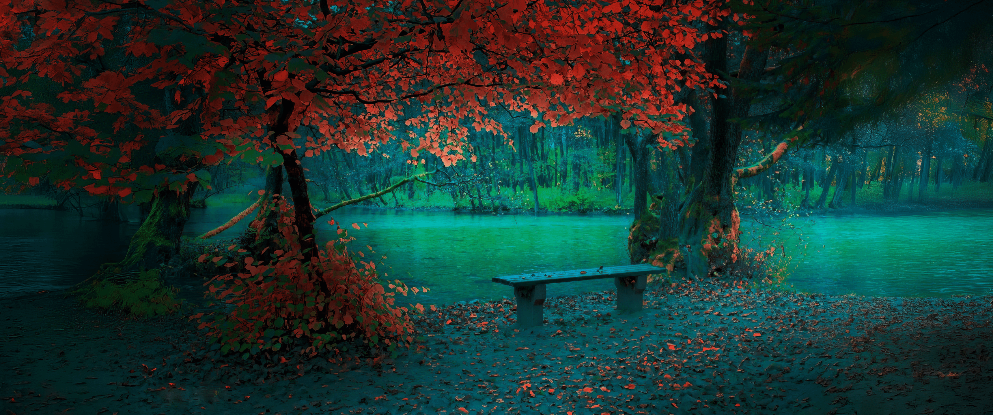 3440x1440 Colorful Autumn Leaves by the River [3440x1440]