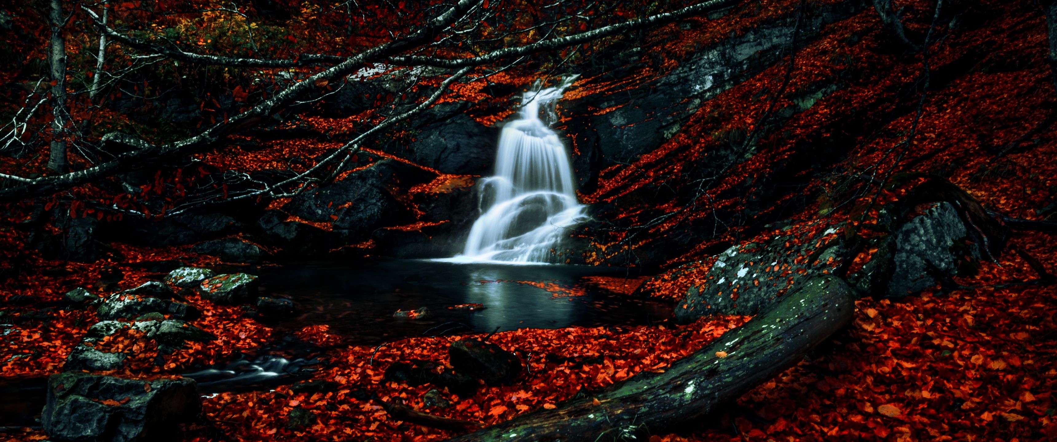 3440x1440 Waterfalls Wallpaper 4K, Autumn, Dark Forest, Foliage