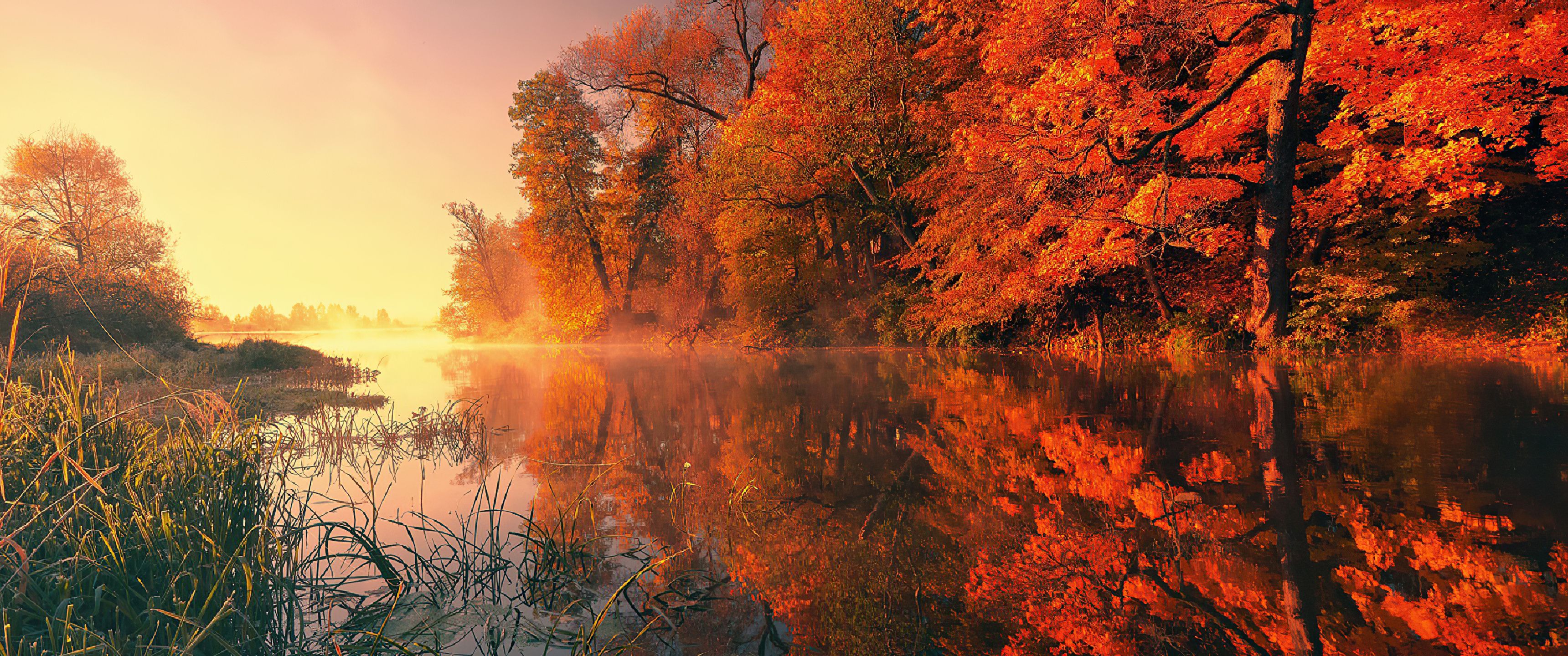 3440x1440 Trees Fall Reflection Autumn 4k UltraWide Quad HD 1440P , HD 4k Wallpaper, Image, Background, Photos and Picture