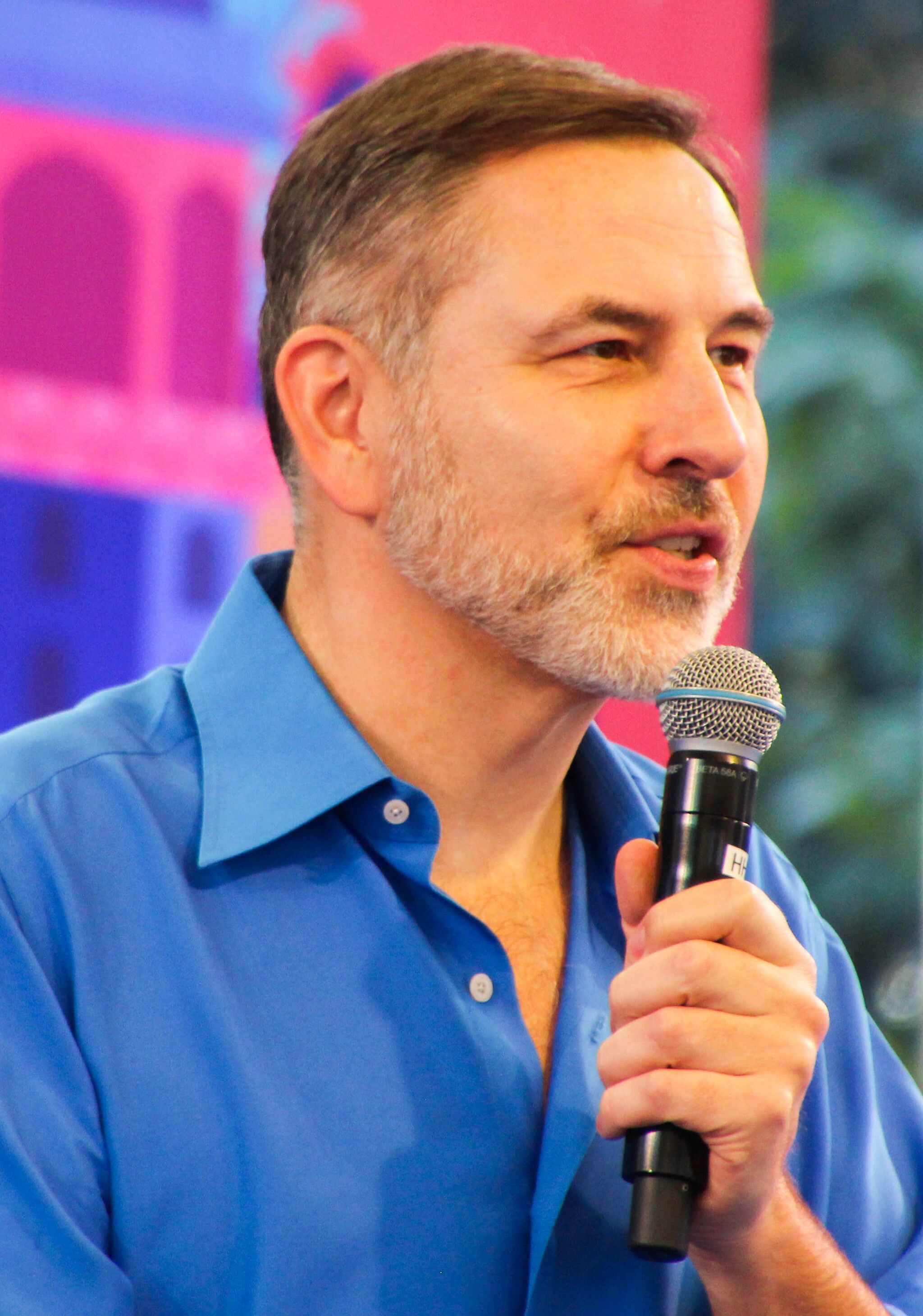 2048x2920 David Walliams