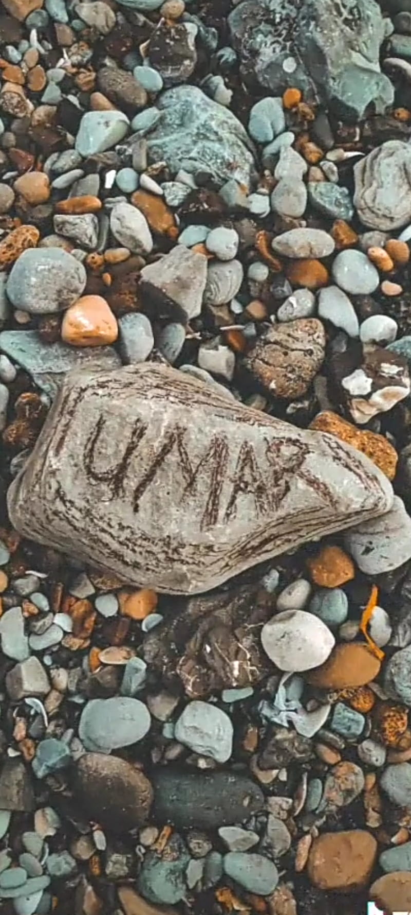 800x1778 HD umar wallpaper