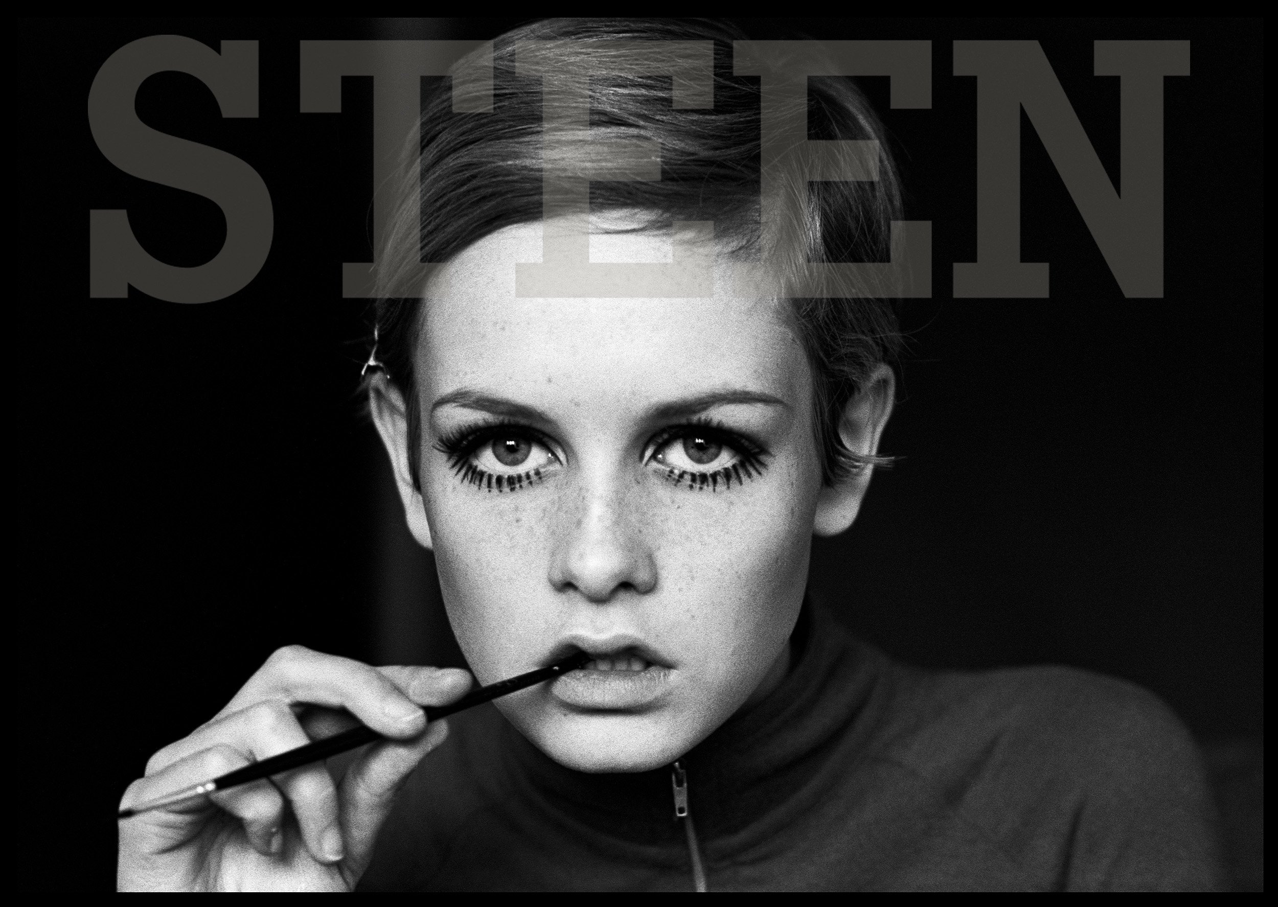 2500x1775 Twiggy. The David Steen Archive