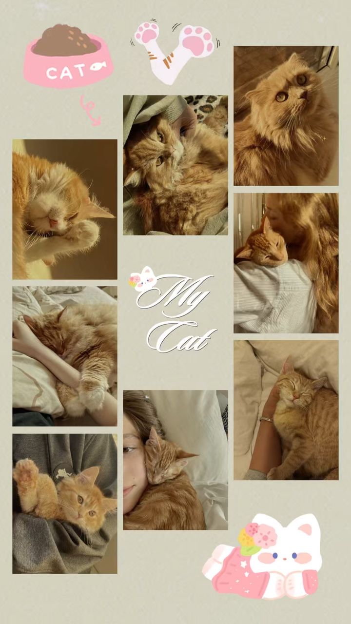 720x1280 Birthday Collage Template Cat