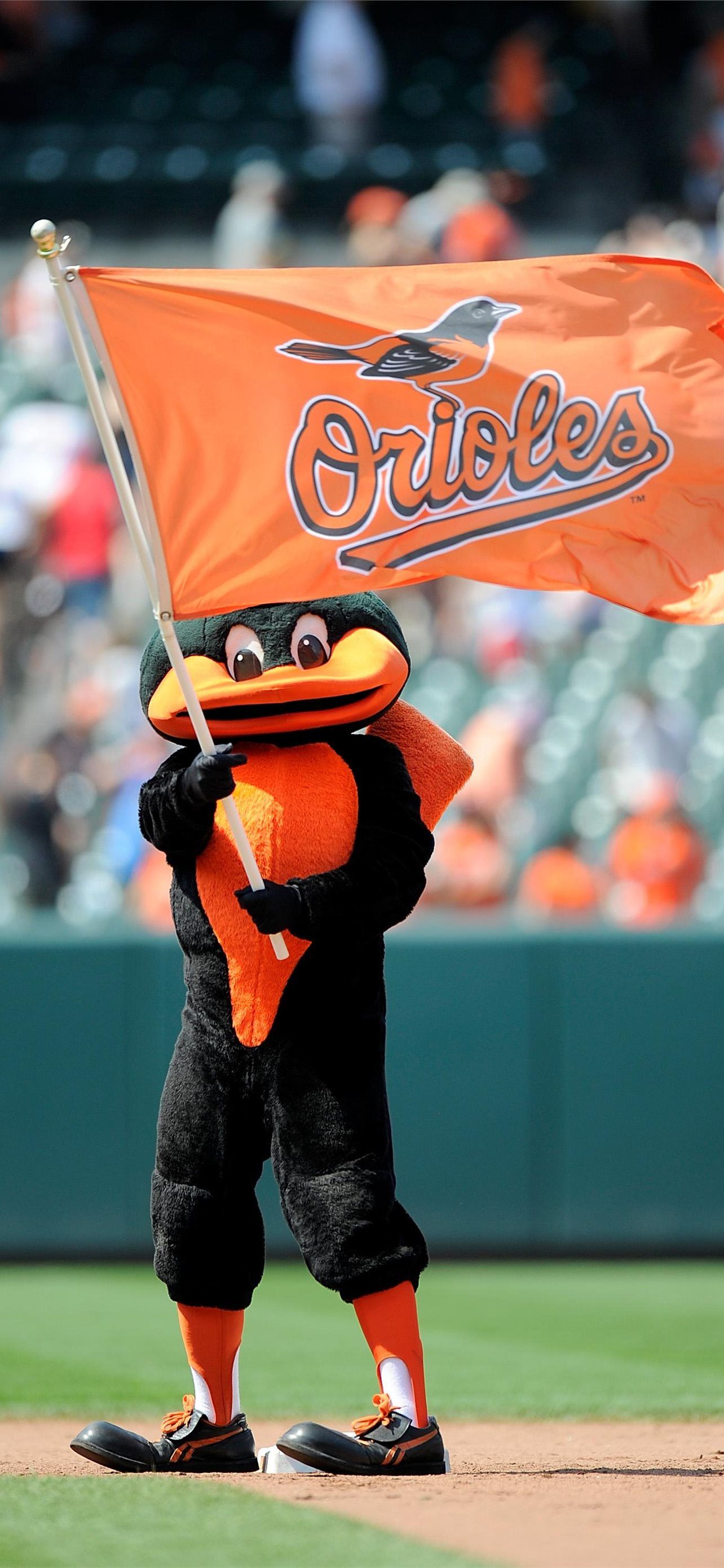 1284x2778 Best Baltimore orioles iPhone HD Wallpaper