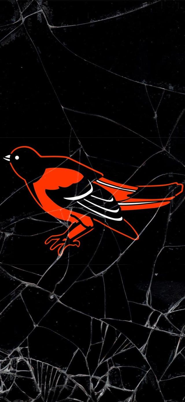 640x1385 Baltimore Orioles wallpaper phone
