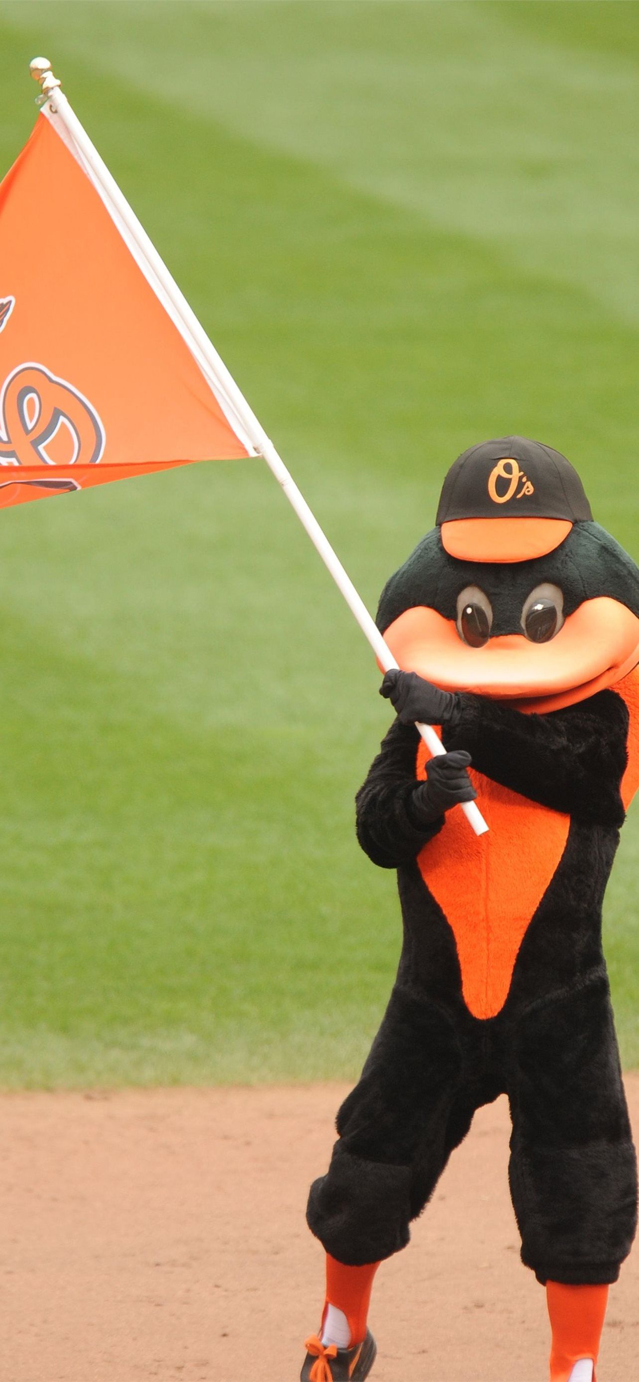 1284x2778 Best Baltimore orioles iPhone HD Wallpaper