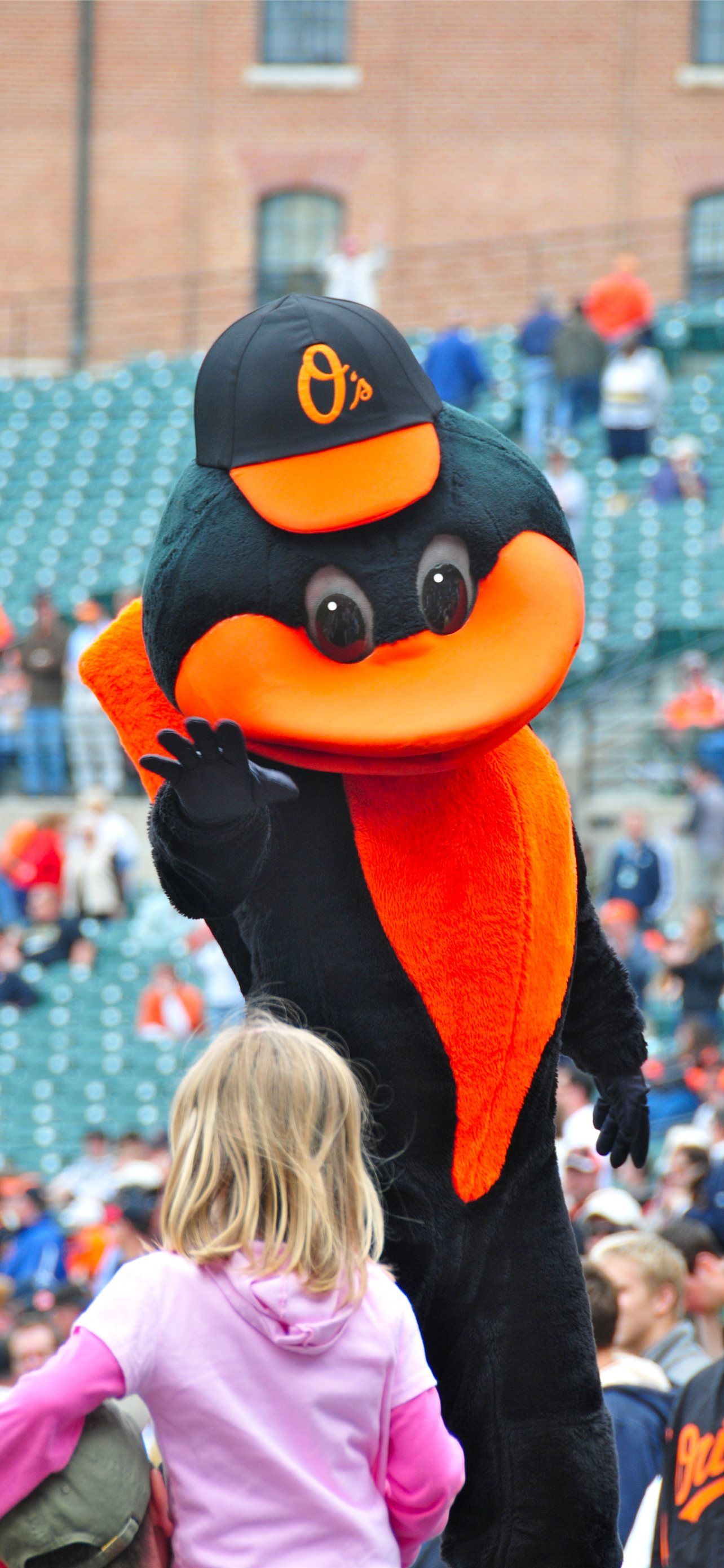 1284x2778 Best Baltimore orioles iPhone HD Wallpaper