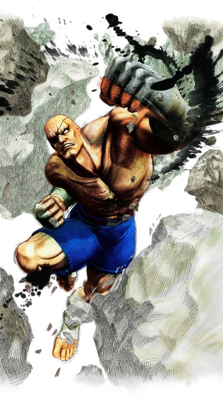 719x1280 Sagat wallpaper