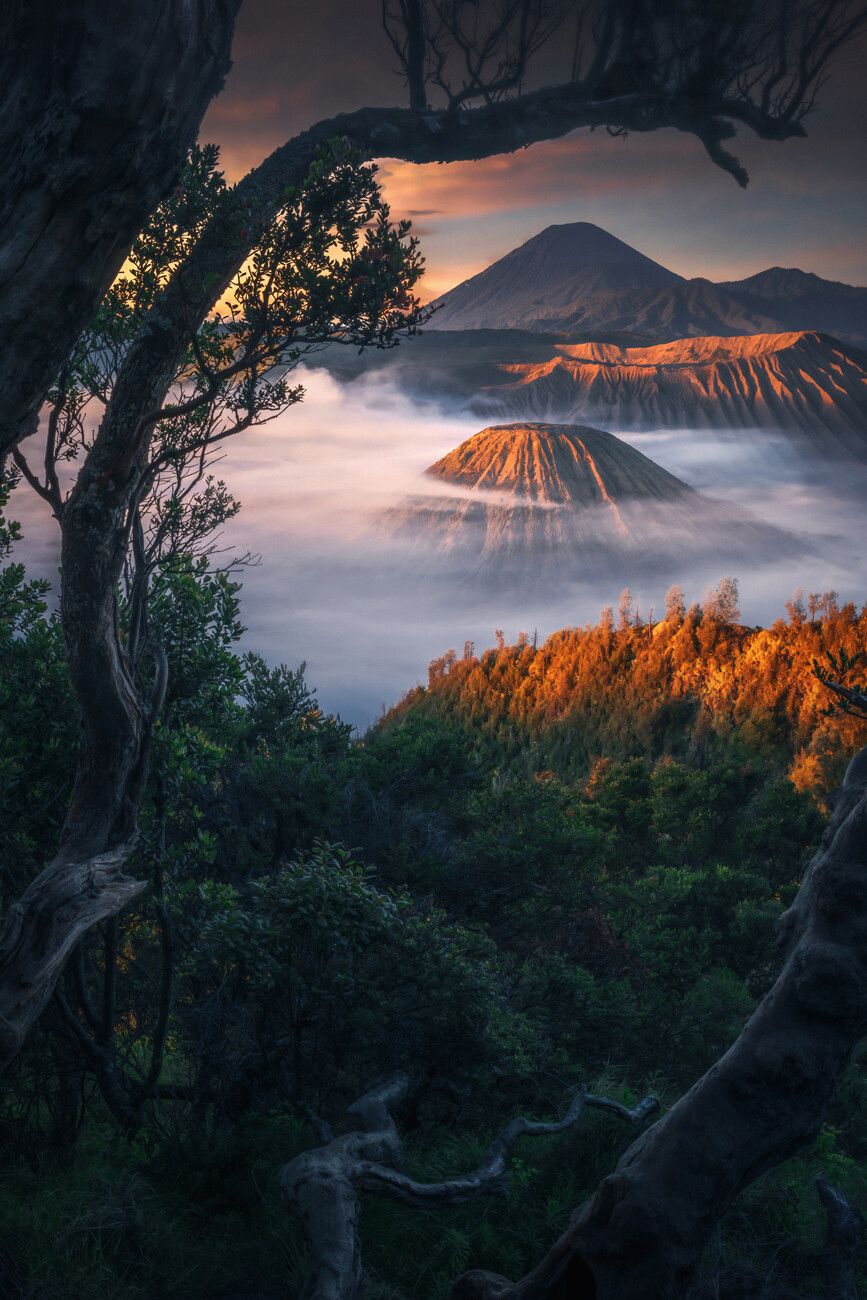 867x1300 Poster First glimpses of Mount Bromo