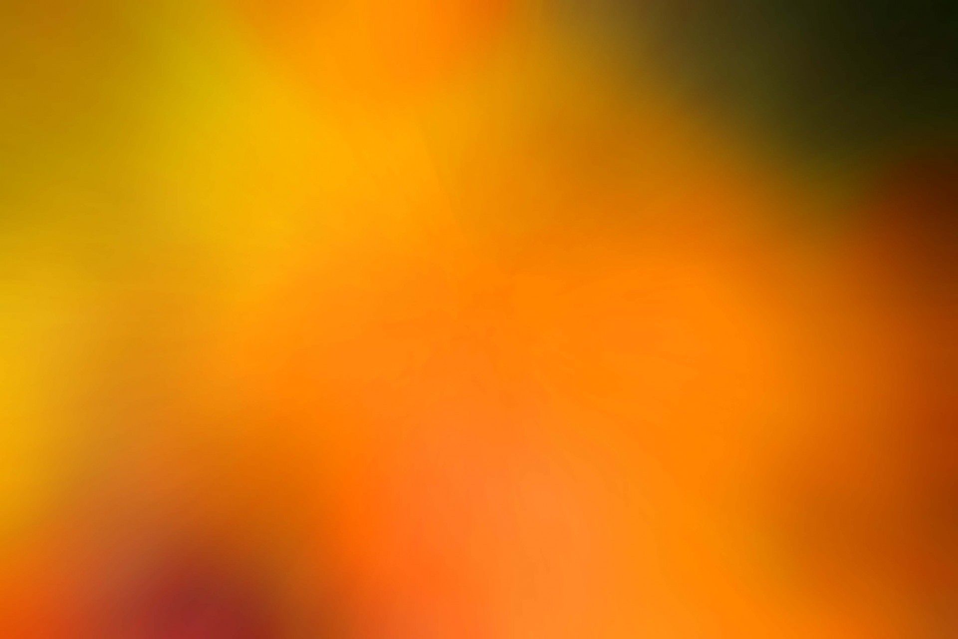 1920x1280 Download free photo of Background, blurred, yellow, yellow background blur, free picture