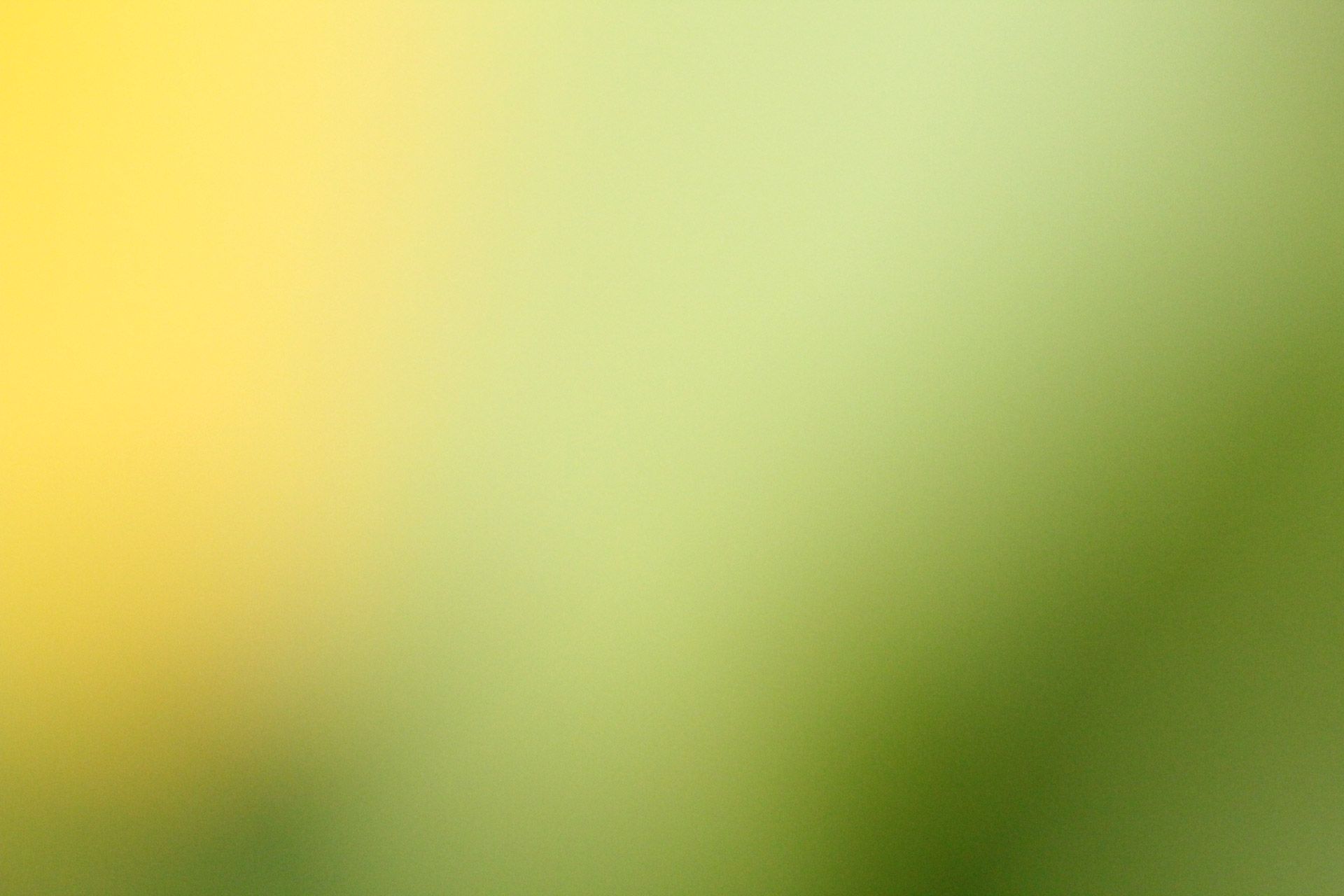 1920x1280 Download free photo of Yellow green blur background, yellow green, blur , background, wallpaper