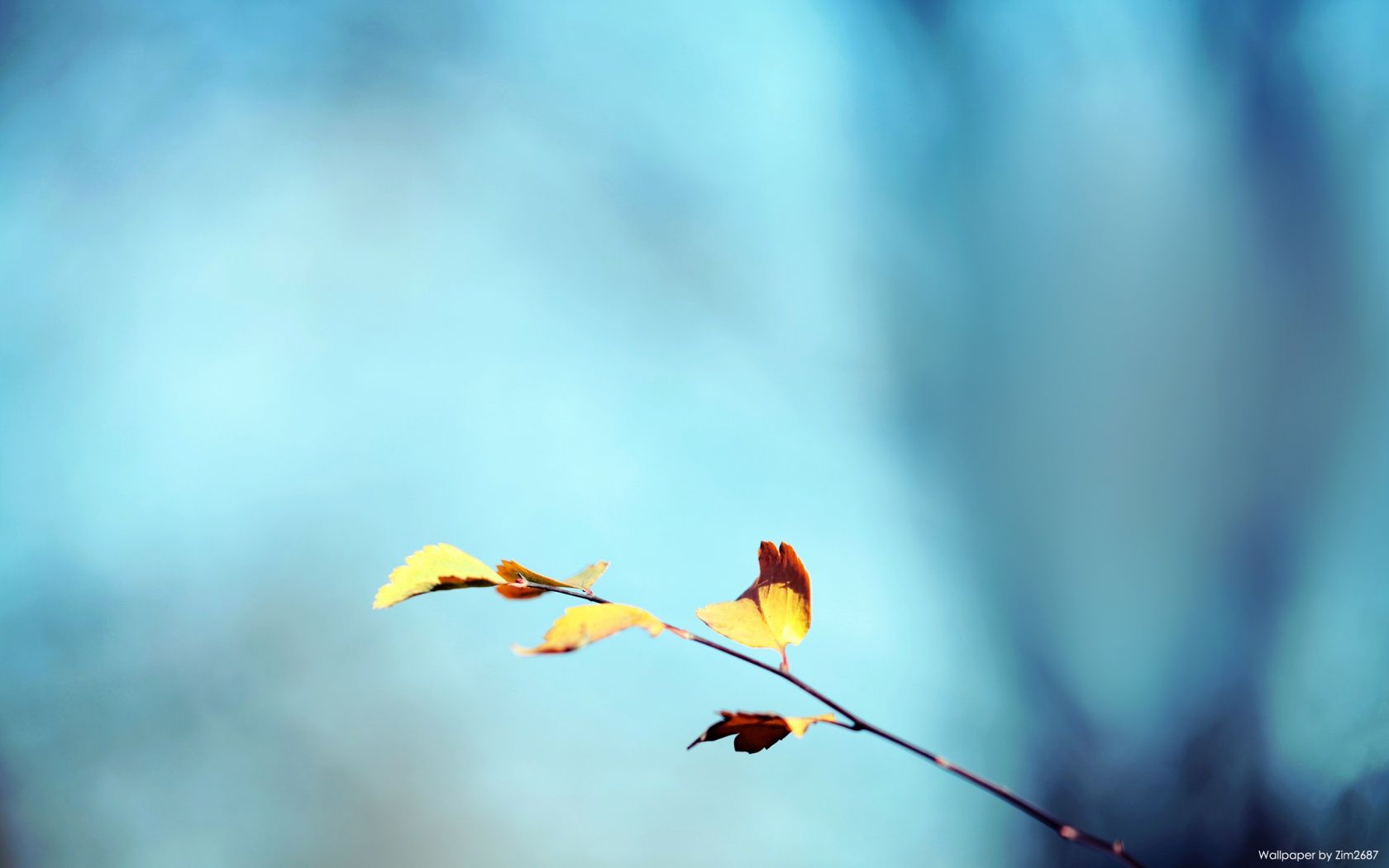 1680x1050 Blue and Yellow Blur 4K UHD Wallpaper for UltraHD Desktop and TV : Dual Monitor
