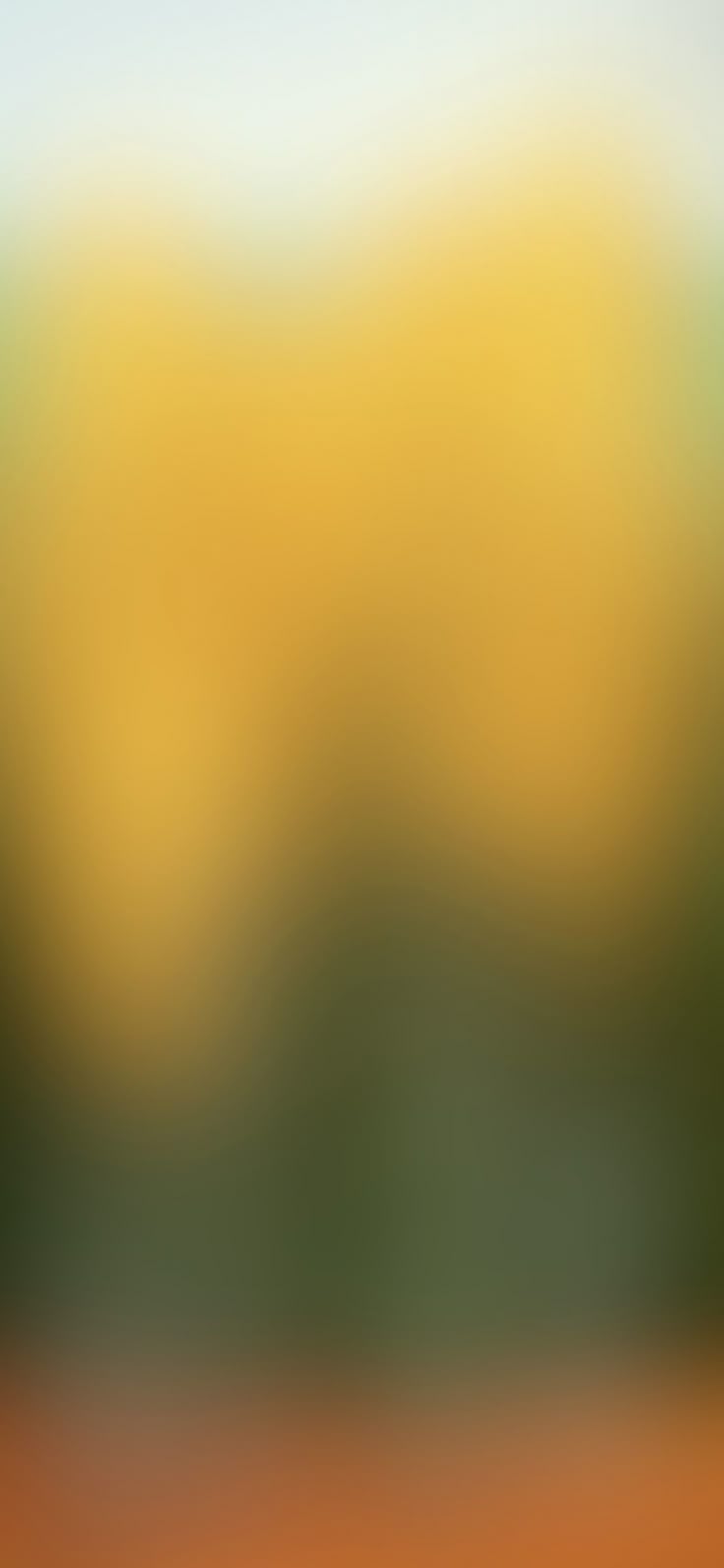 736x1593 Vibrant Orange and Yellow Sky Wallpaper. Yellow blur wallpaper, Yellow background blur, Orange fade wallpaper