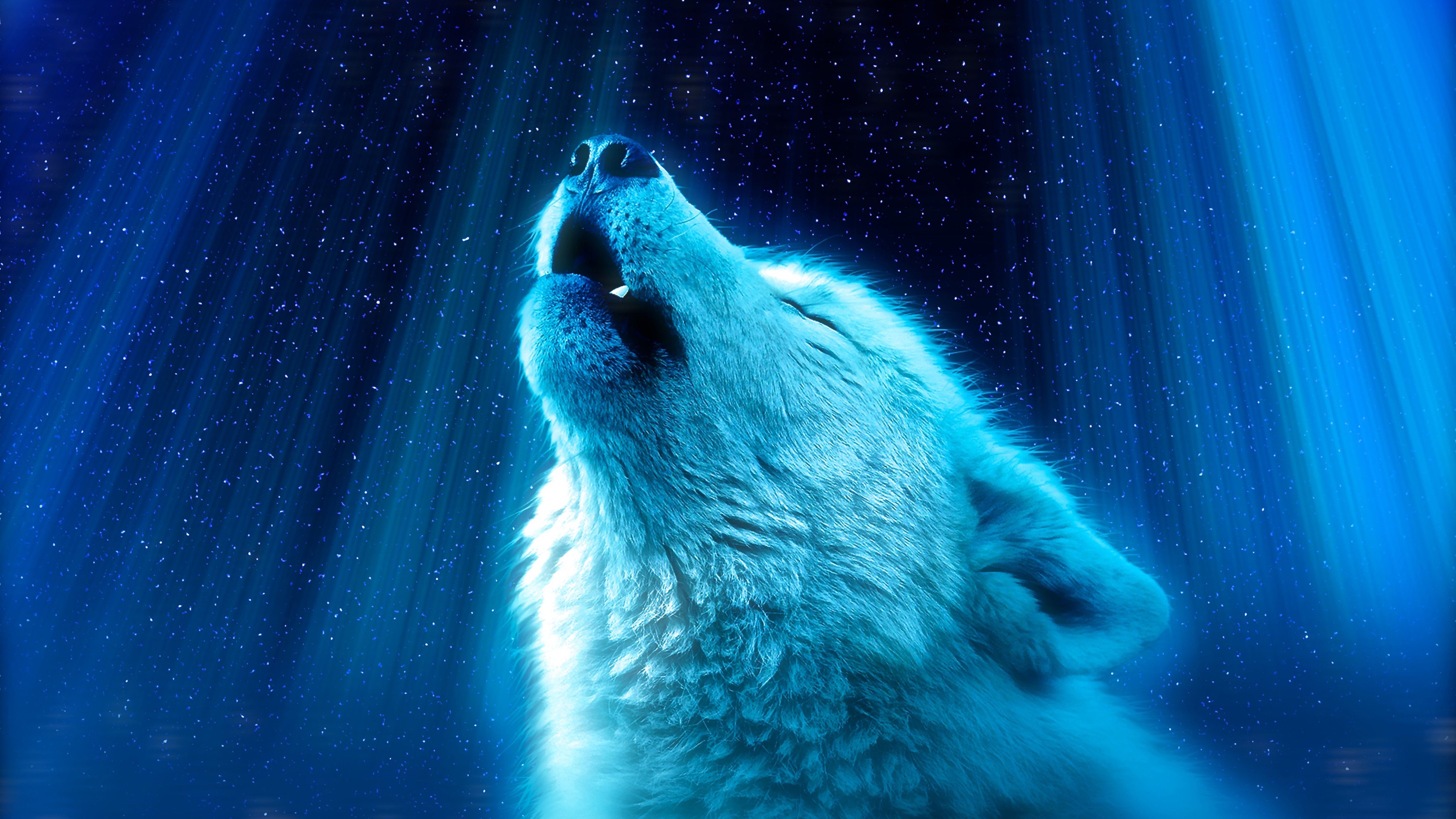 5120x2880 Wolf Heaven 4K Wallpaper