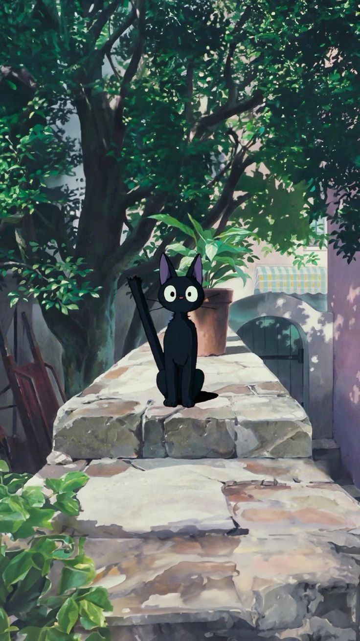 736x1308 jiji
