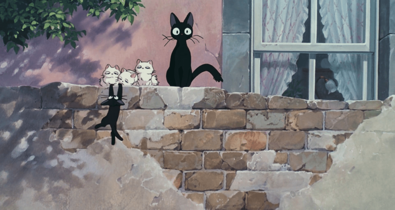 1280x683 Kiki Cat Wallpaper