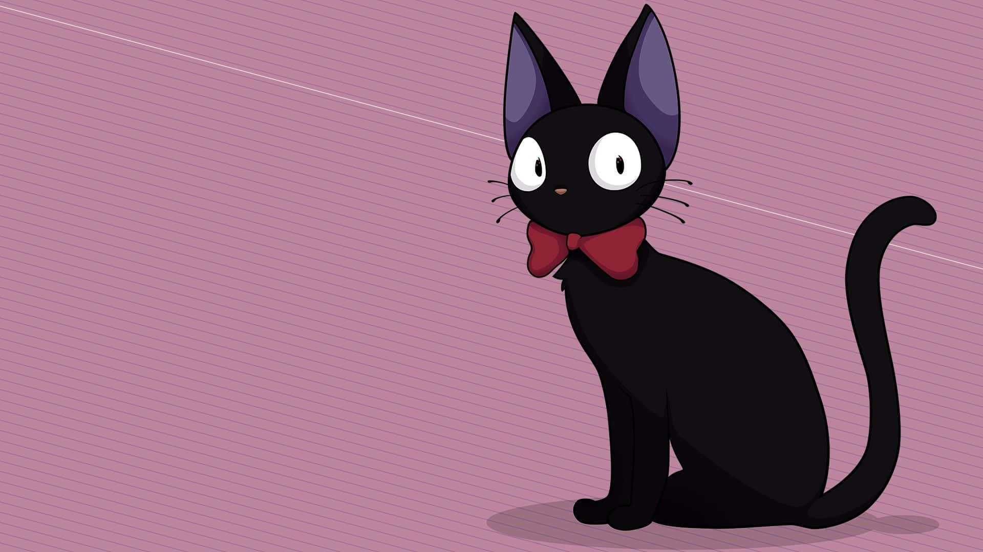 1920x1080 Jiji Cat Wallpaper
