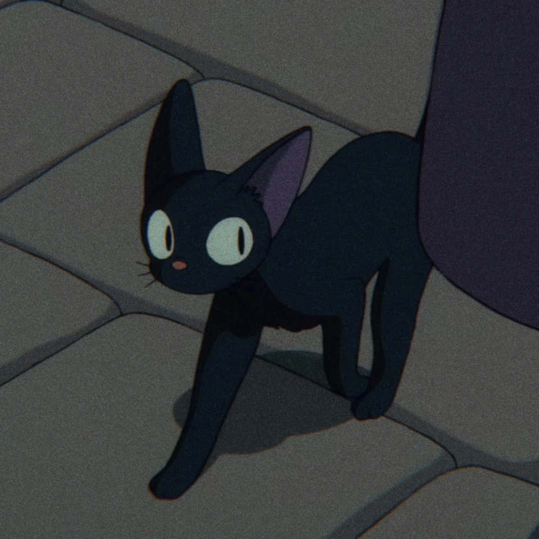 1080x1080 Download Jiji Cat Adorable Feline Companion from Studio Ghibli Wallpaper