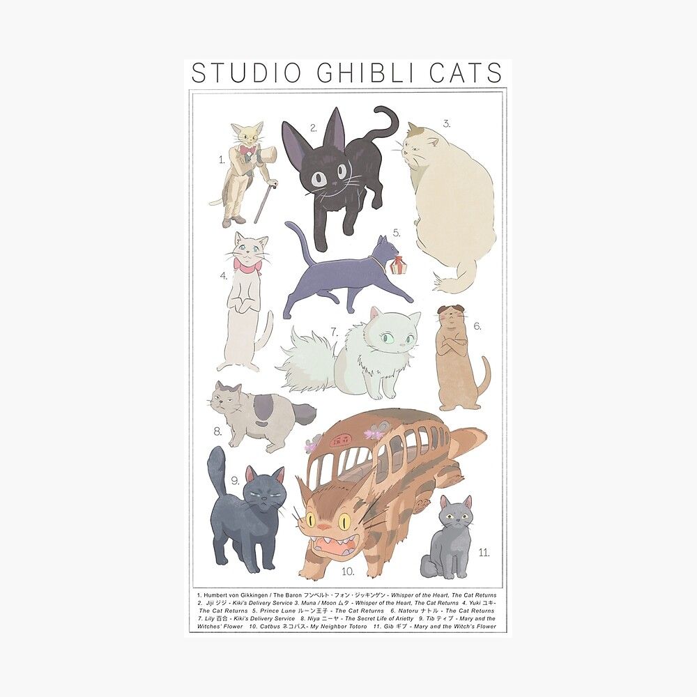 1000x1000 Studio Ghibli Cats Poster