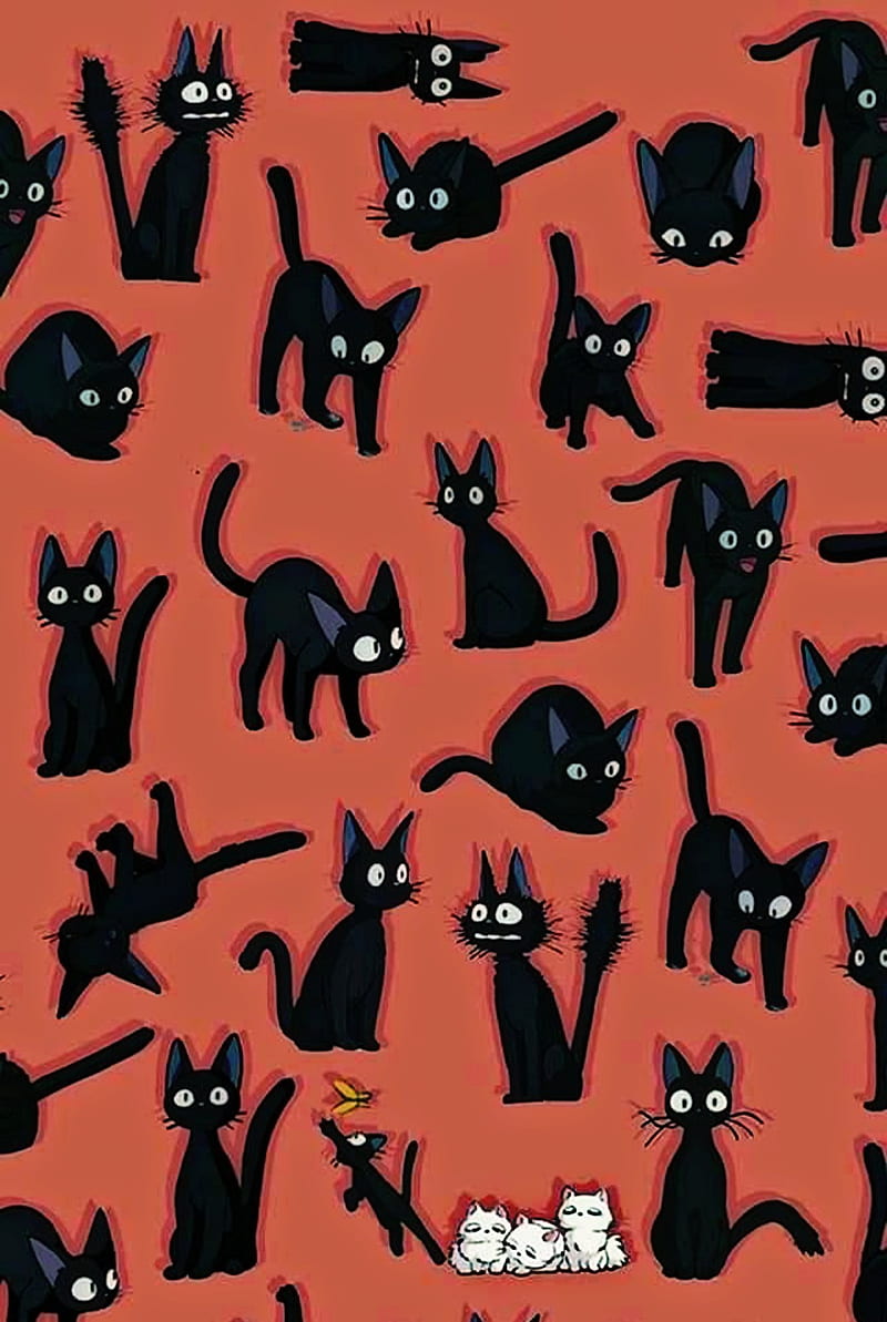 800x1193 Jiji, anime, black cat, hayao miyazaki, kikis, kikis delivery service, orange, HD phone wallpaper