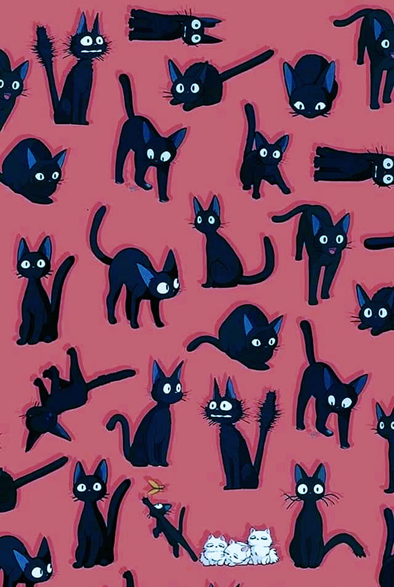 800x1193 Jiji, anime, black cat, kikis, kikis delivery service, pink, studio ghibli, HD phone wallpaper
