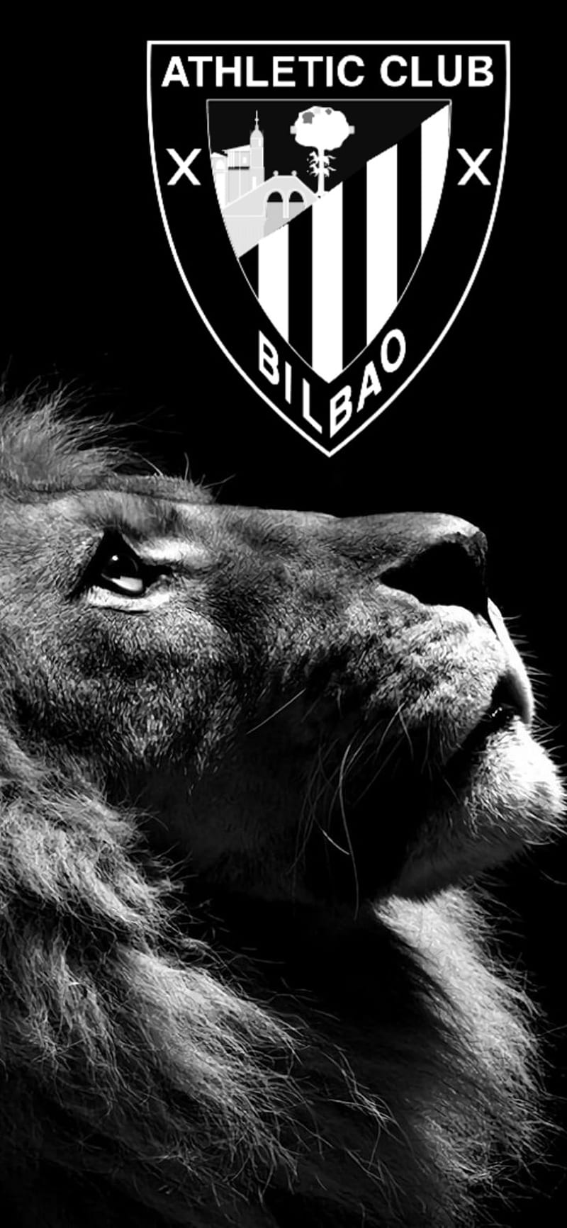 800x1733 Athletic club, bilbao, HD phone wallpaper