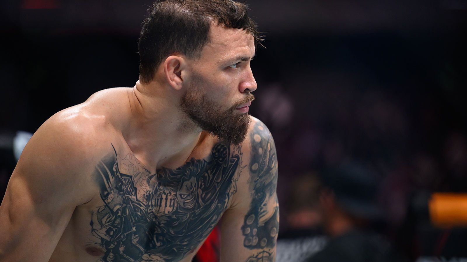 1600x900 Best UFC knockouts of ranked