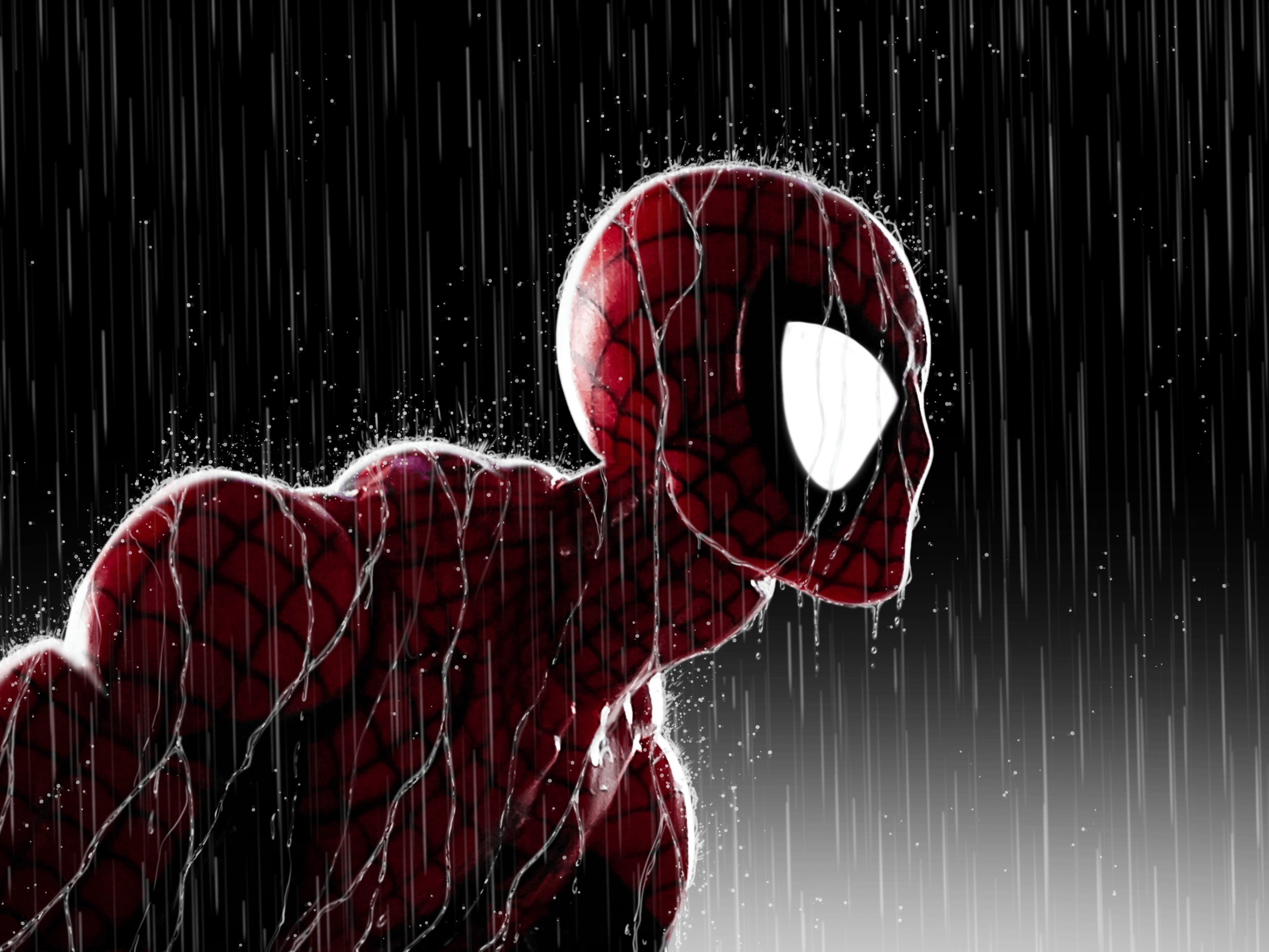 2560x1920 Who loves Spidey in the rain