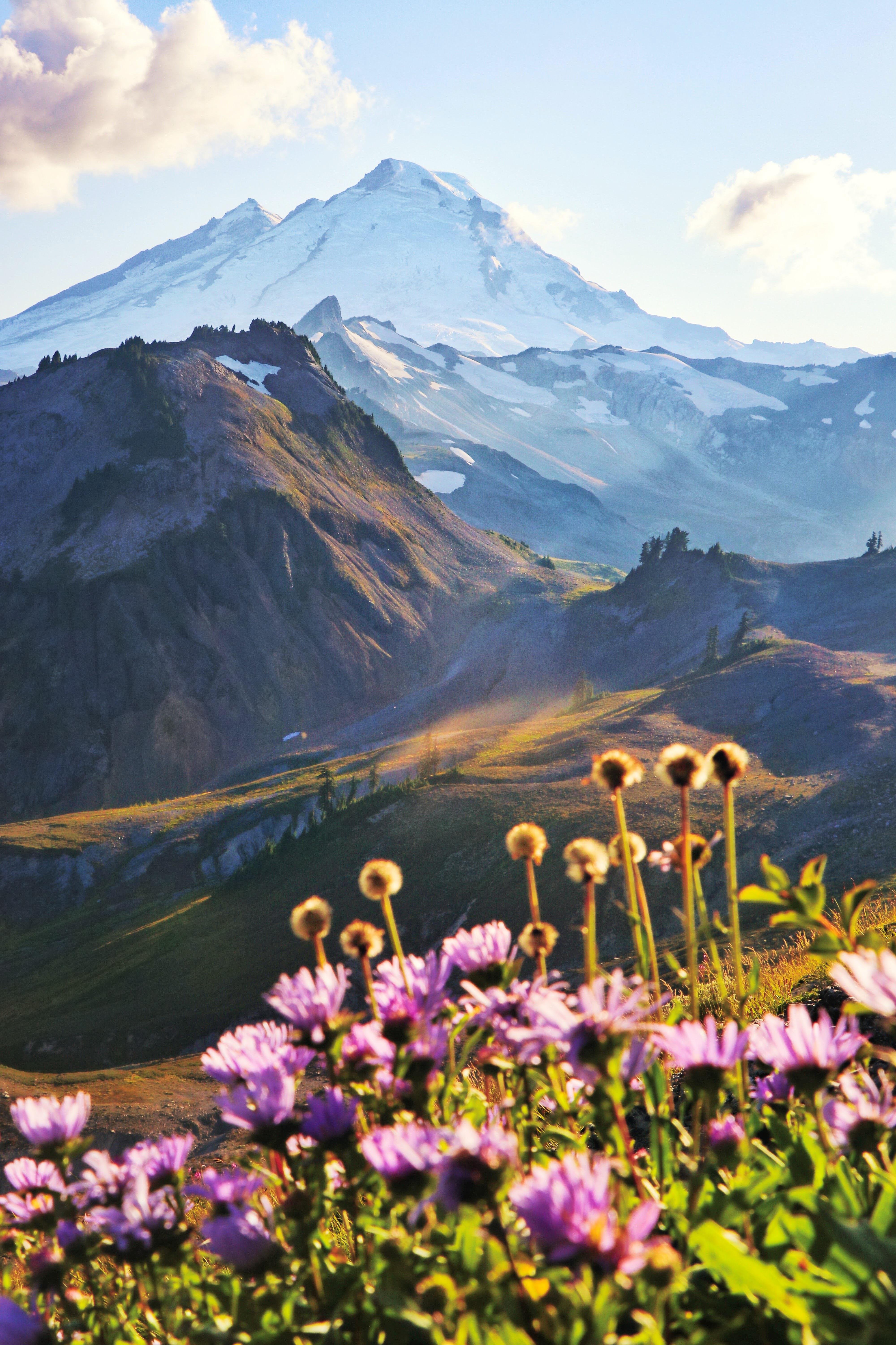 4000x6000 A view of Mt. Baker from Table Mountain trail, Washington