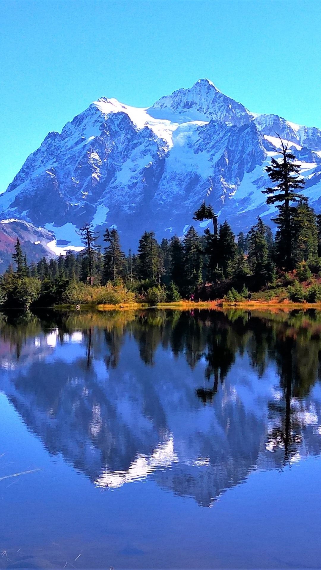 1080x1920 Mount Baker, Snow, Trees, Lake, Water Reflection, USA 1080x1920 IPhone 8 7 6 6S Plus Wallpaper, Background, Picture, Image