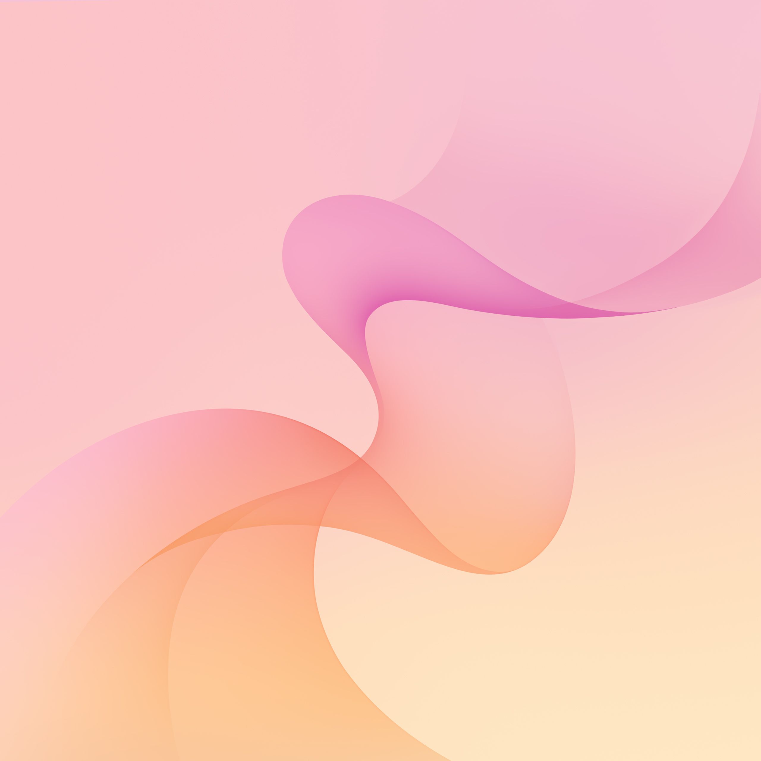 2560x2560 Samsung Galaxy Z Flip 8 Wallpaper and Background
