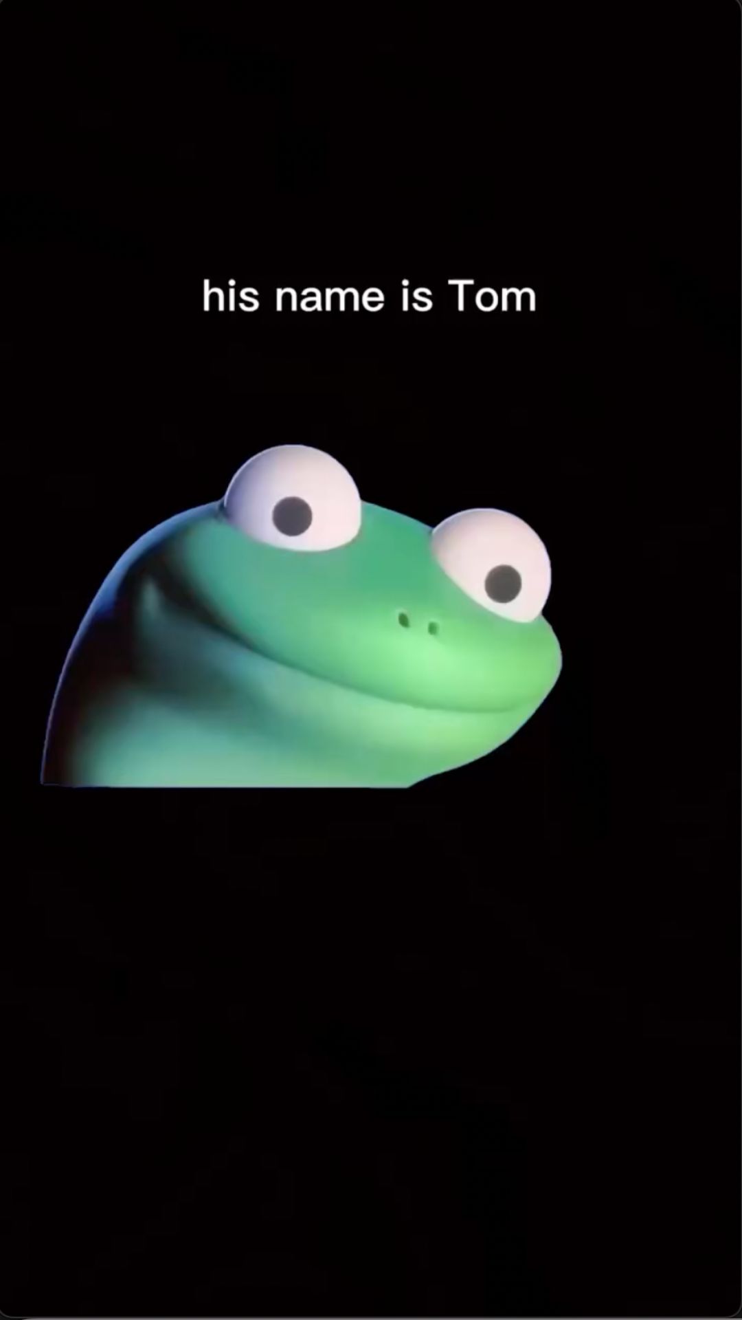 1080x1920 Hoppers Tom Clip