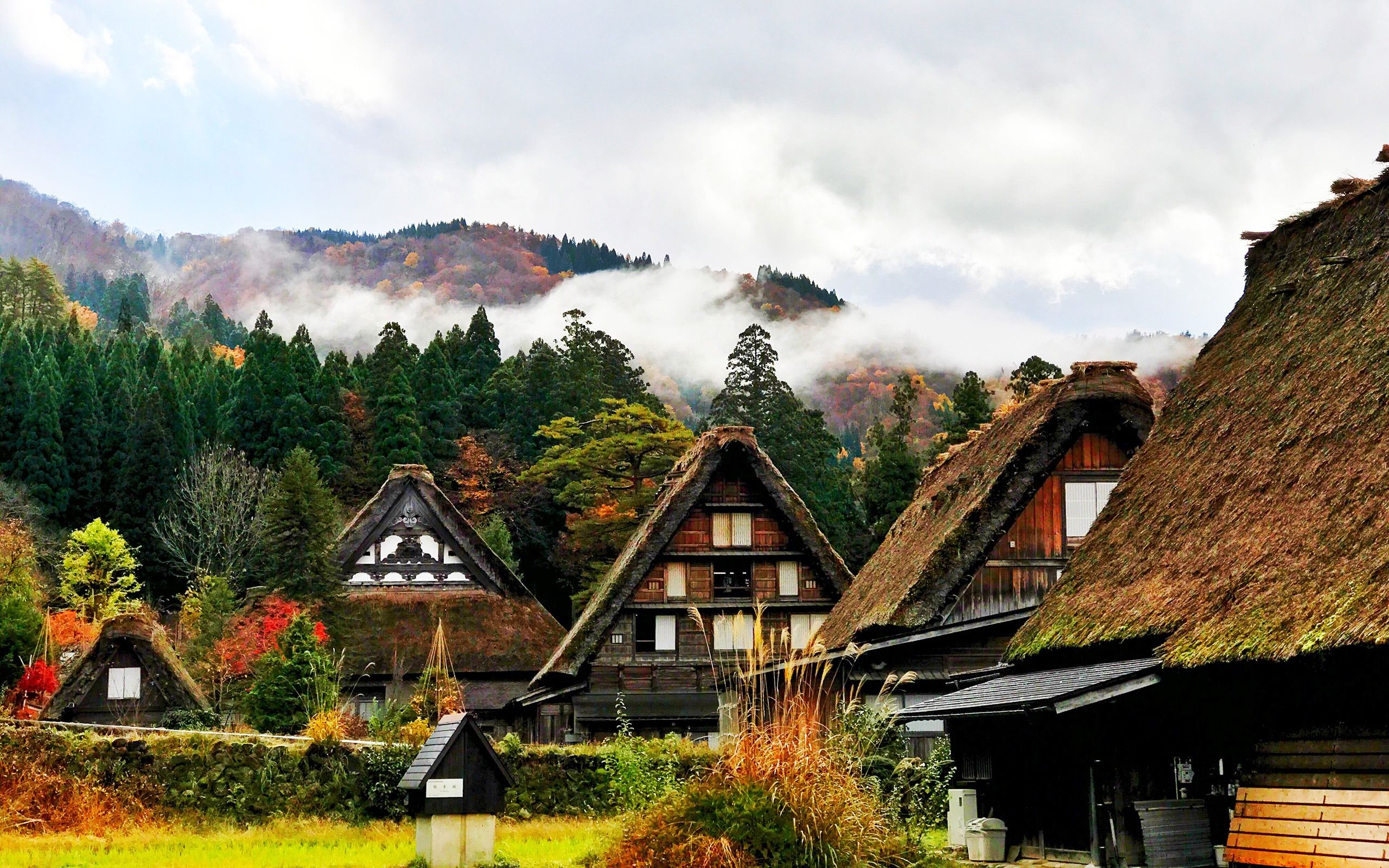 2560x1600 Japan Shirakawa Houses Mountains Trees World Travel HD Wallpaper