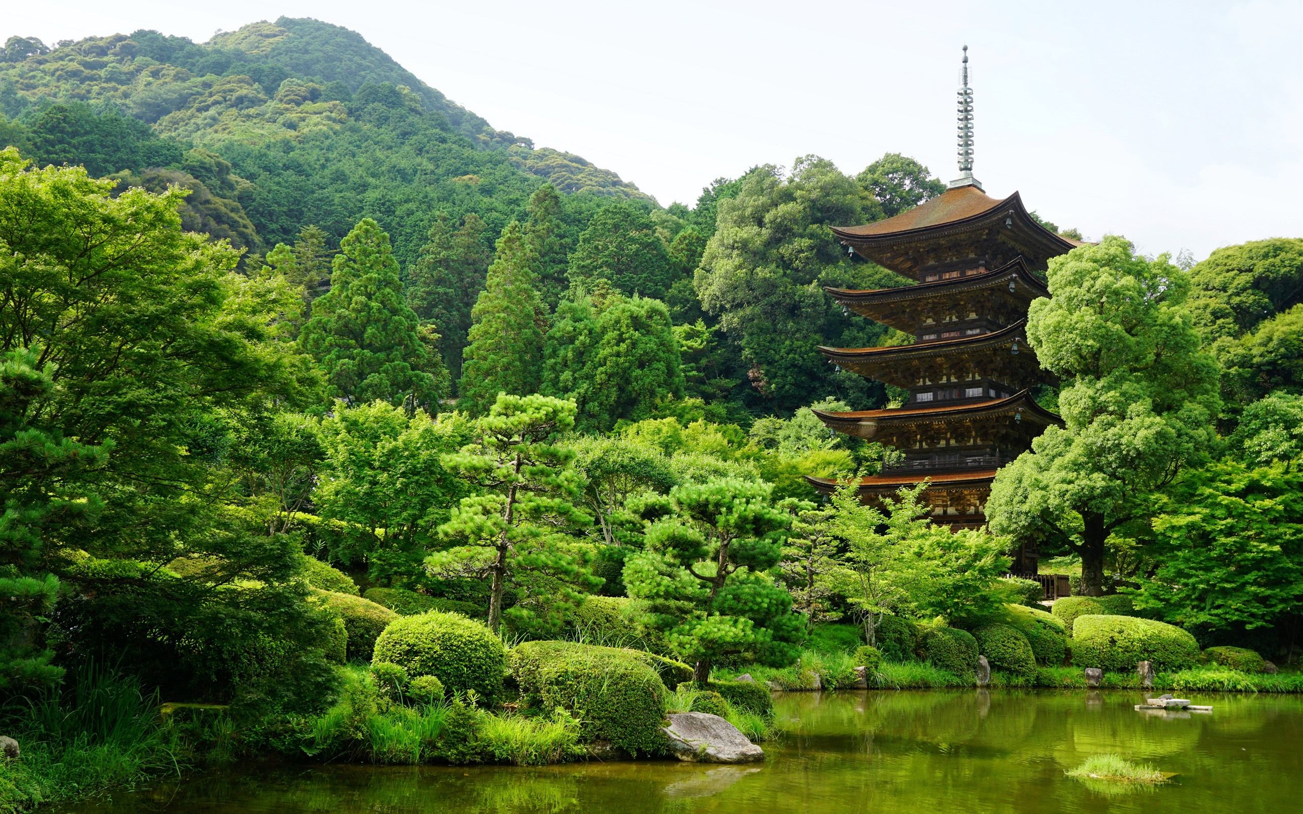 2560x1600 Wallpaper Japan, Yamaguchi, park, trees, tower, pond, green 3840x2160 UHD 4K Picture, Image