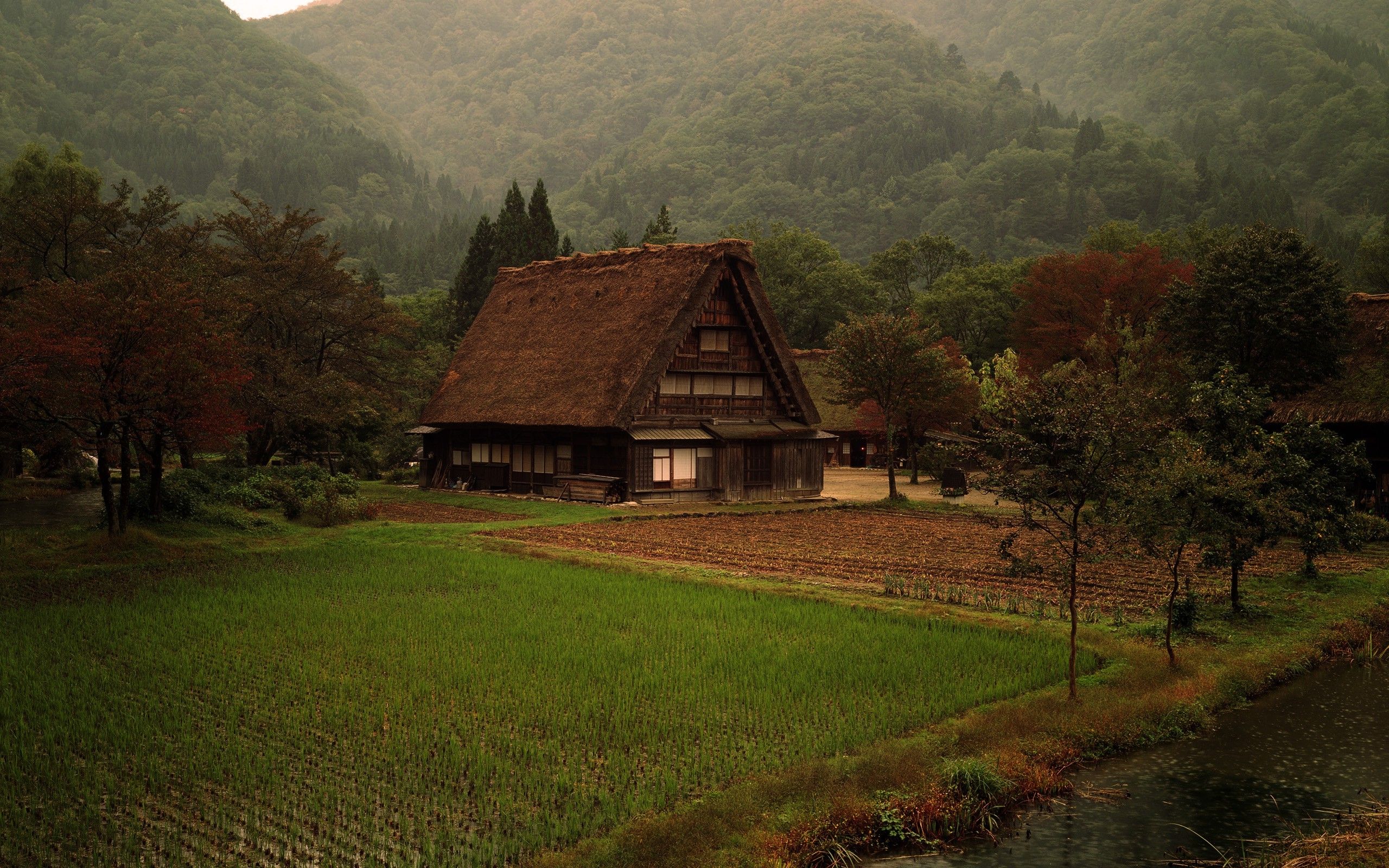 2560x1600 nature, Cabin, Grass, Forest, Japan Wallpaper HD / Desktop and Mobile Background