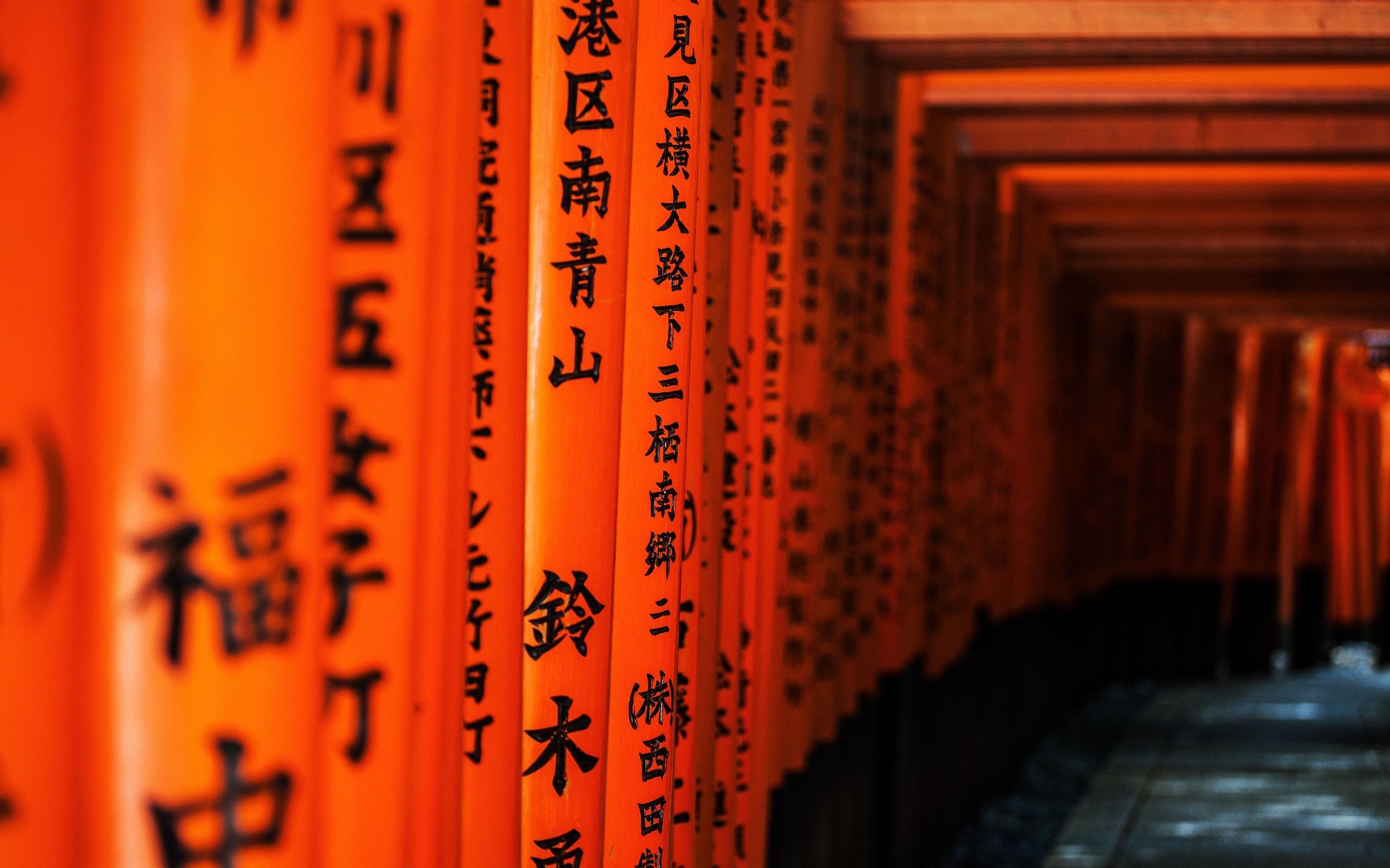 2560x1600 japan, Kyoto, Torii, Gates, Pathway, Japanese, Architecture, Fushimi, Inari, Shrine Wallpaper HD / Desktop and Mobile Background