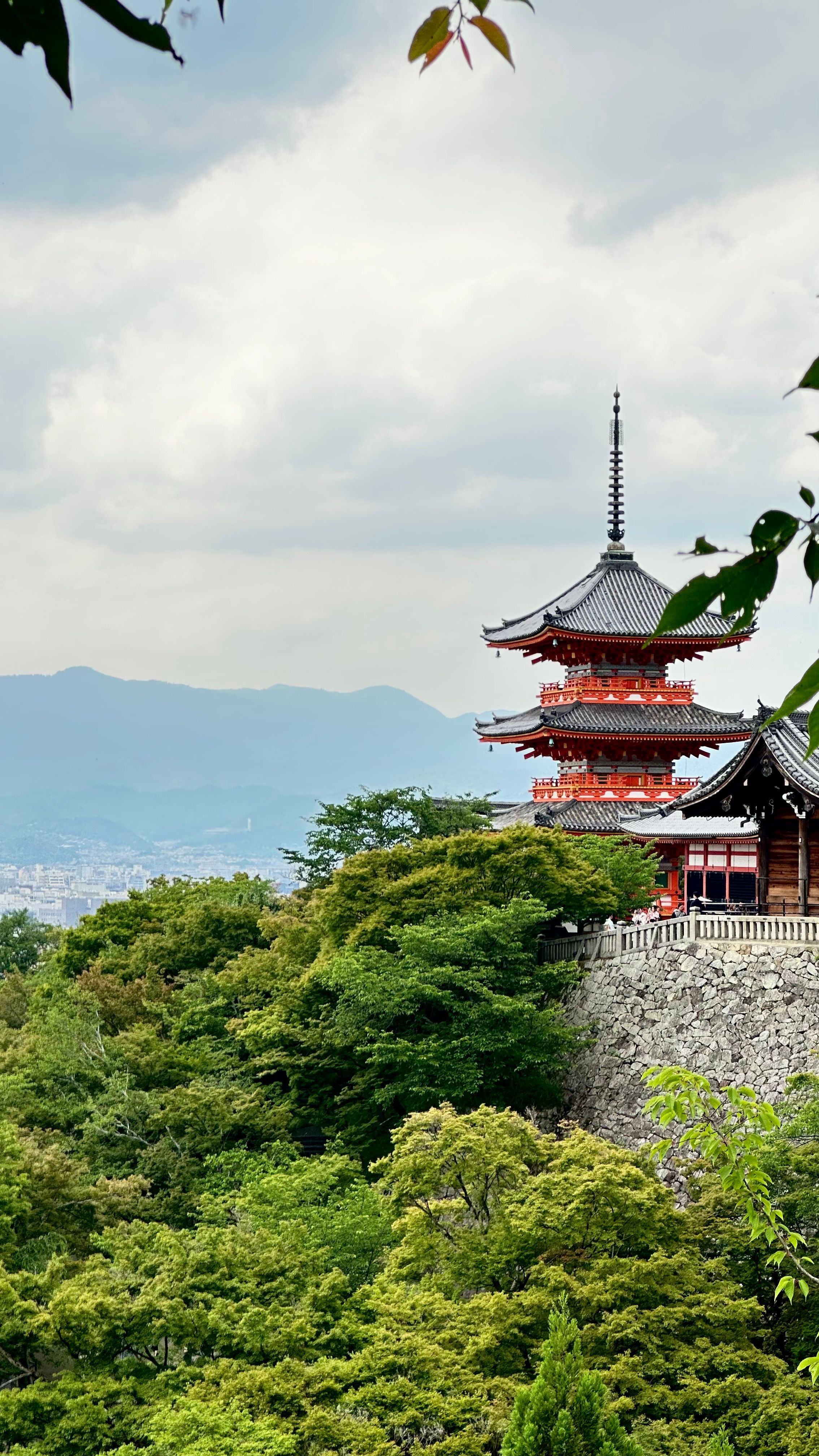 2268x4032 Japan Wallpaper Photo, Download The BEST Free Japan Wallpaper & HD Image