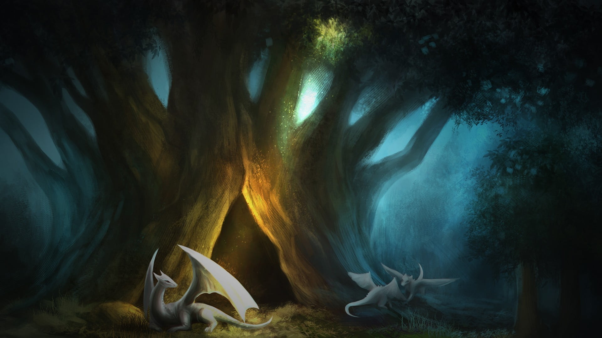 1920x1080 Two white dragons illustration HD wallpaper
