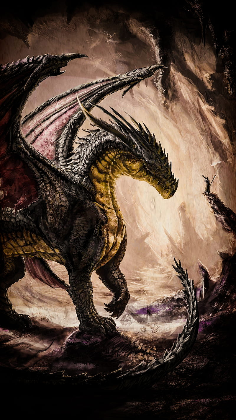 800x1422 Dragon, cave, dark, majestic, midevil, HD phone wallpaper