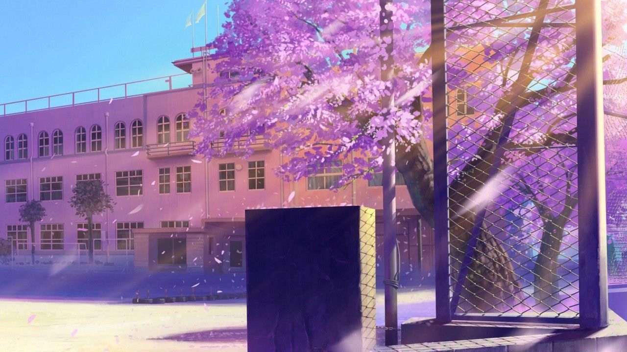 1280x720 Purple Leaves Tree Building Anime Background HD Anime Background Wallpaper