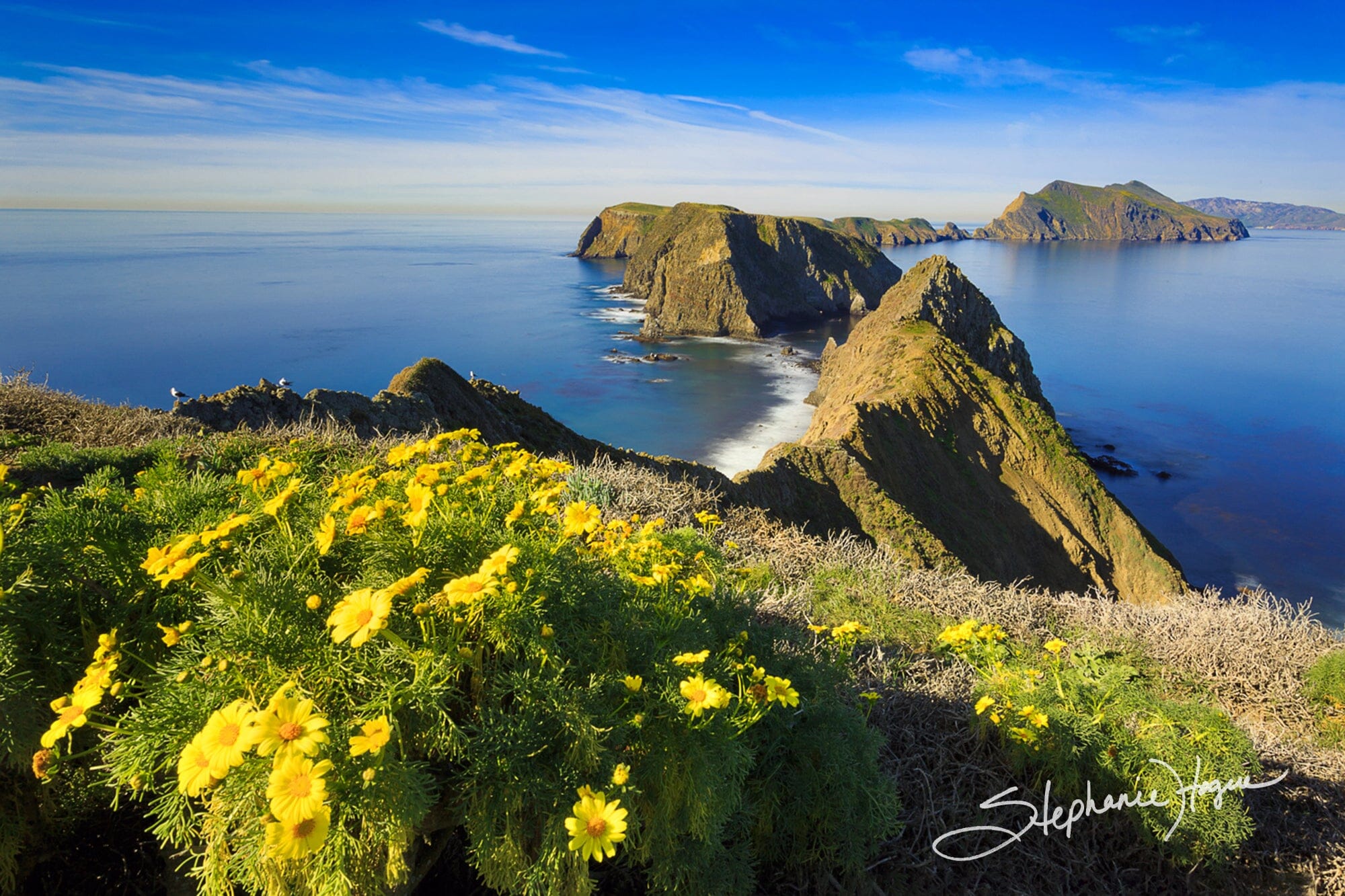 2000x1333 Inspiration Point. Channel Islands National Park x 13 / WRAPPED CANVAS Print