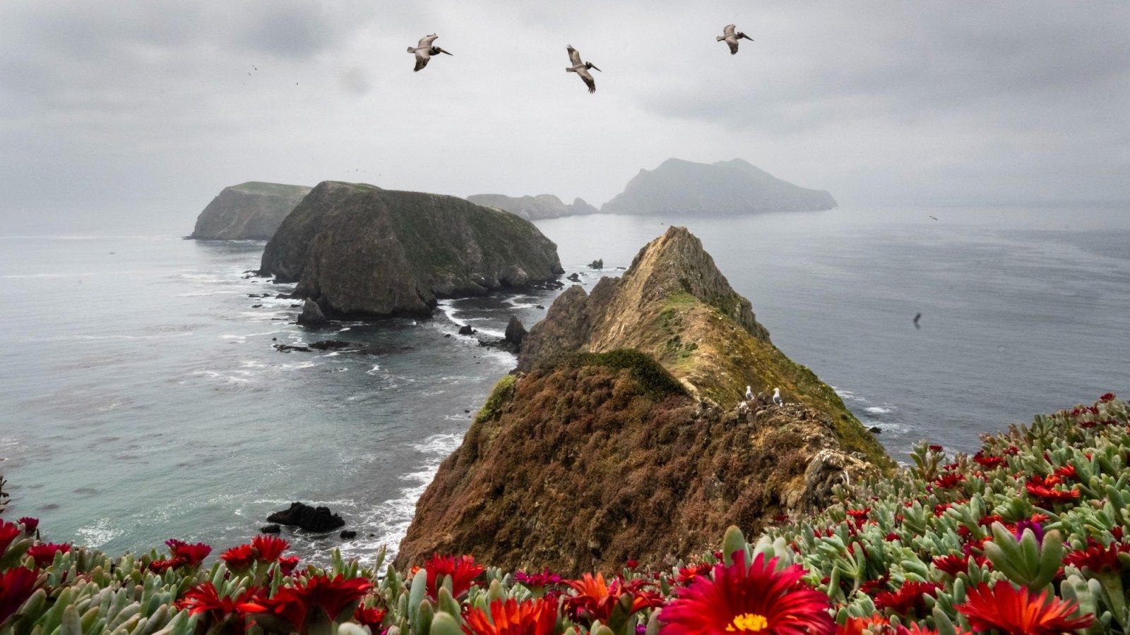 1600x900 Explore the rugged beauty of Channel Islands National Park's Anacapa Island