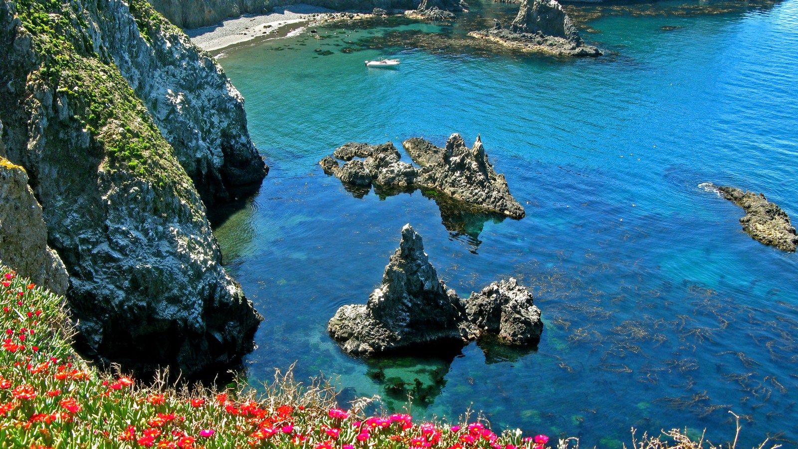 1600x900 Channel Islands: See California's version of the Galapagos