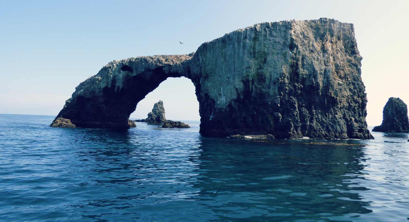 1600x870 A Day Trip to Channel Islands National Park with kids with the Gastons