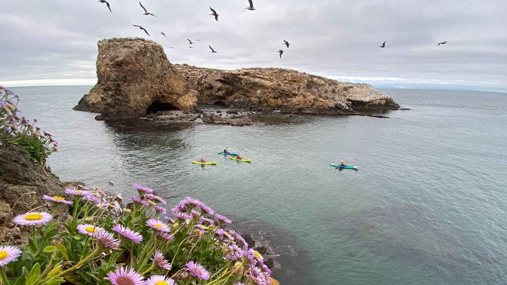 1920x1080 A Kayaker's Guide to Channel Islands National Park's Journal