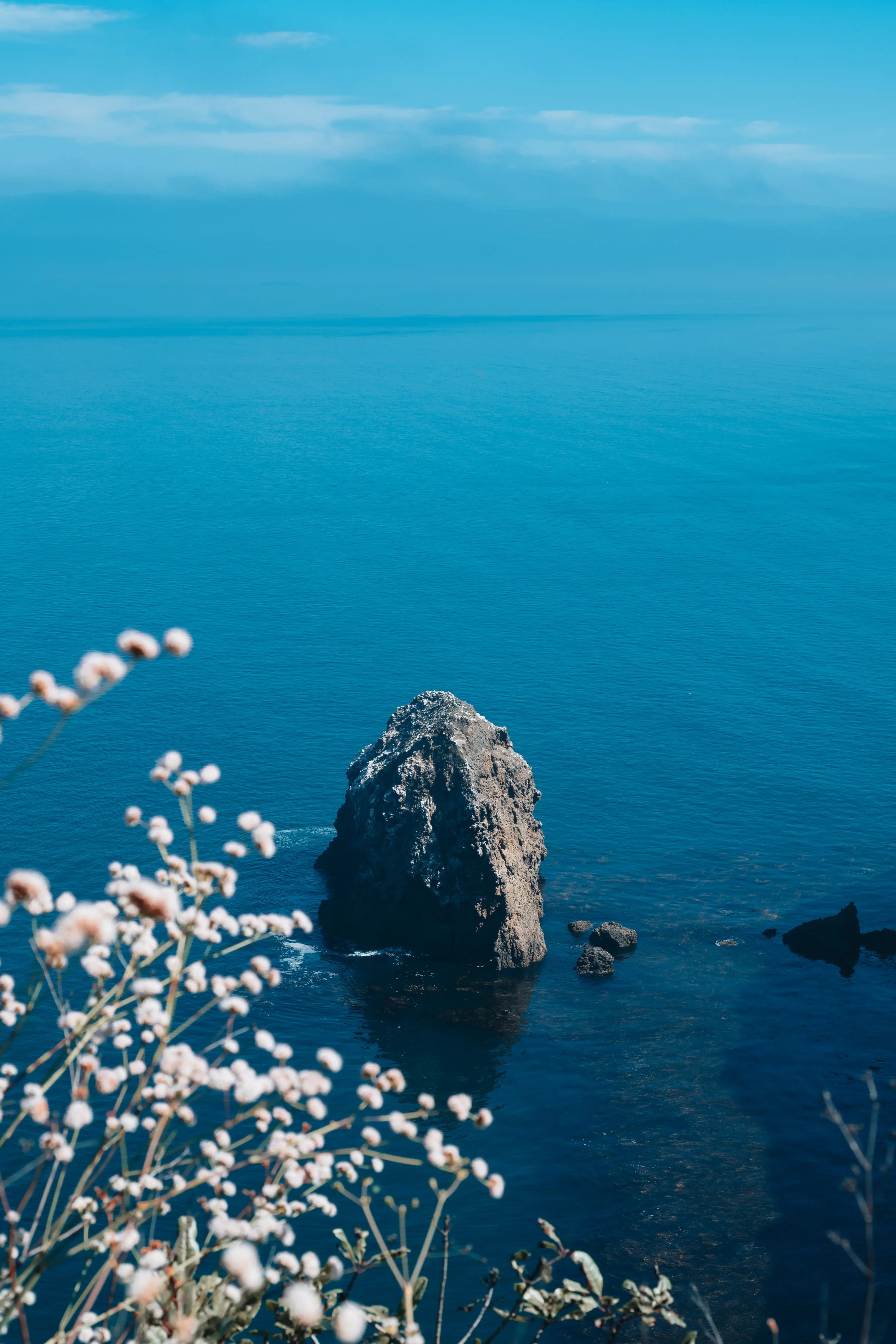 3551x5326 Santa Cruz Island Floral Cliff Print. Channel Islands National Park